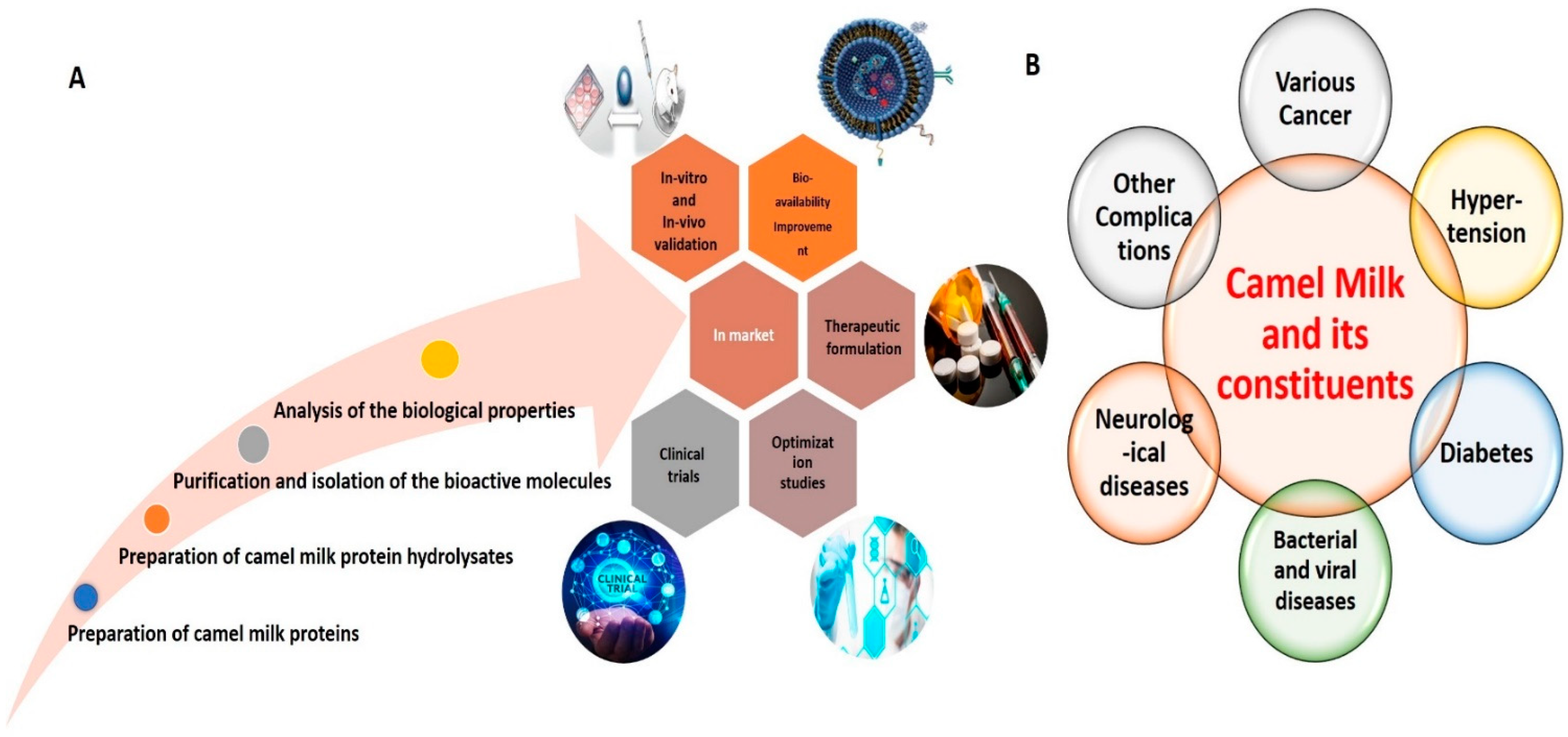 Life 12 00990 g001 550