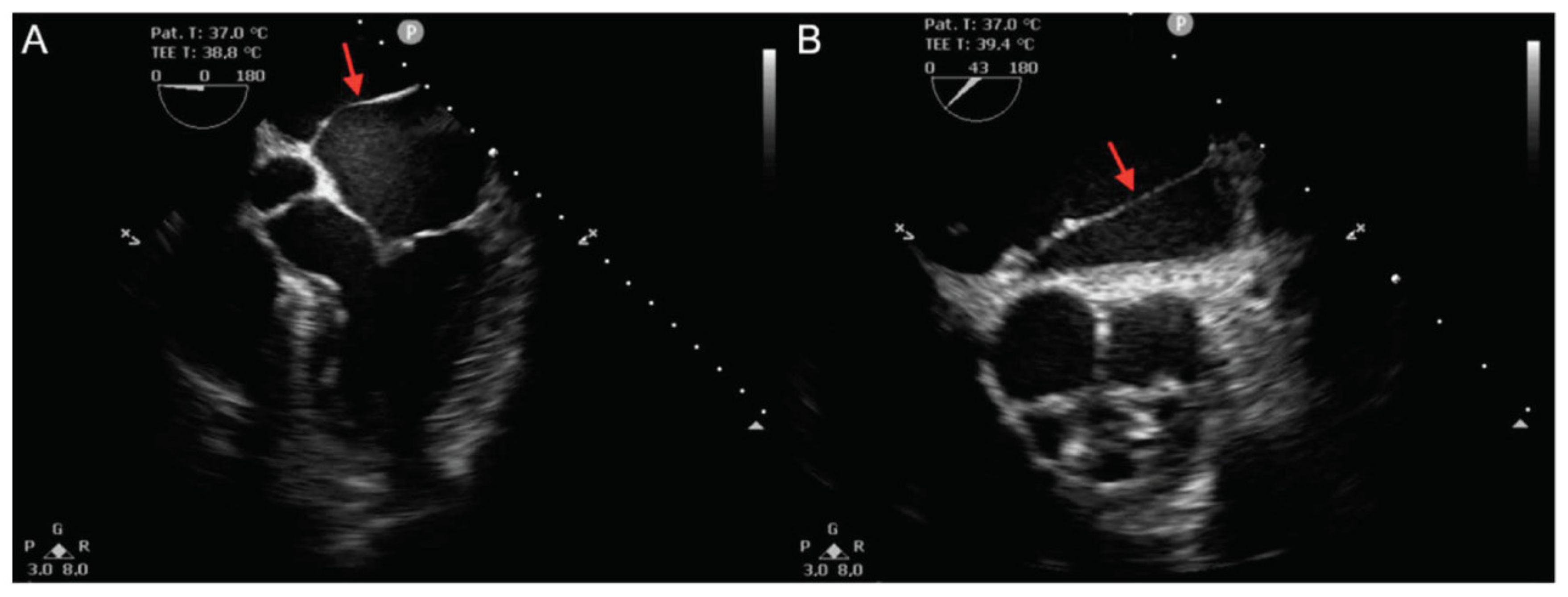 Life 12 00992 g001 Life 12 00992 g001