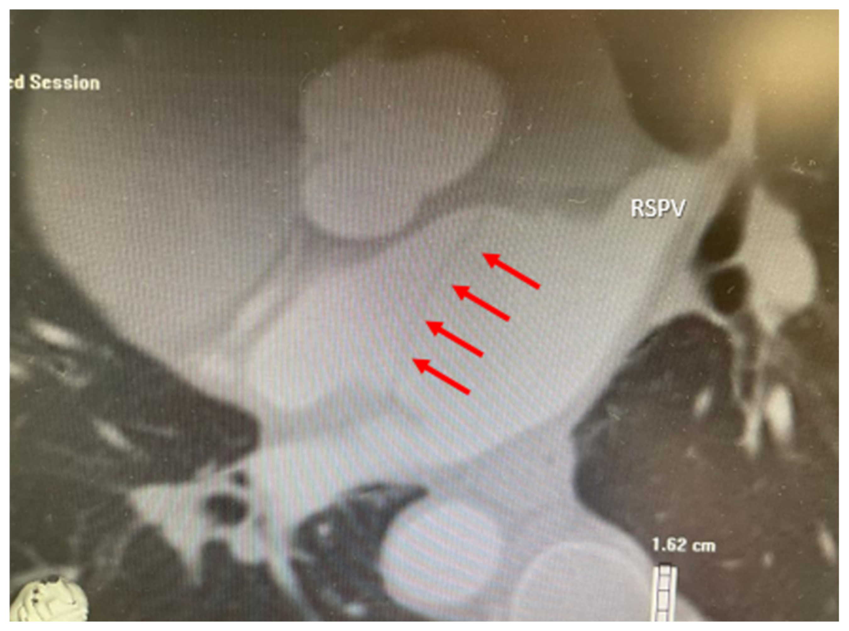 Life 12 00992 g002 Life 12 00992 g002