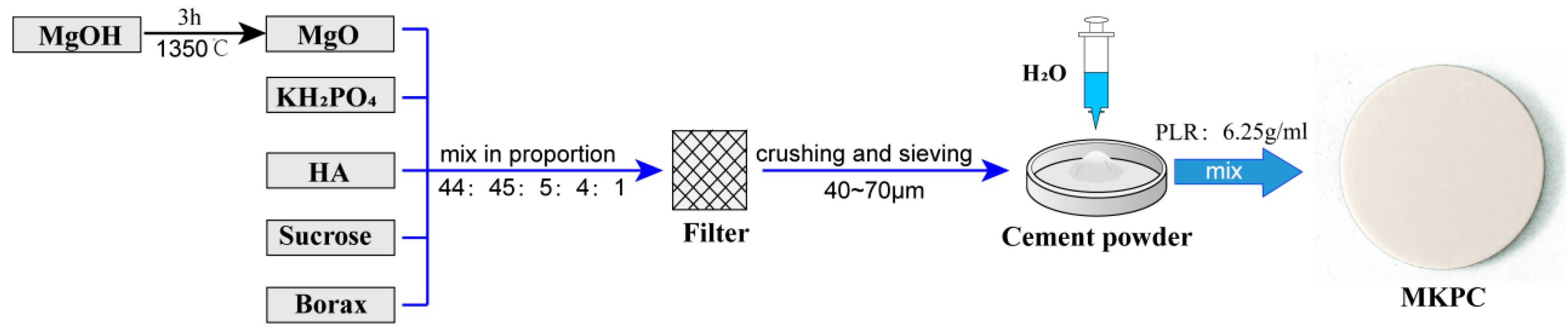 Life 12 00997 g001 550