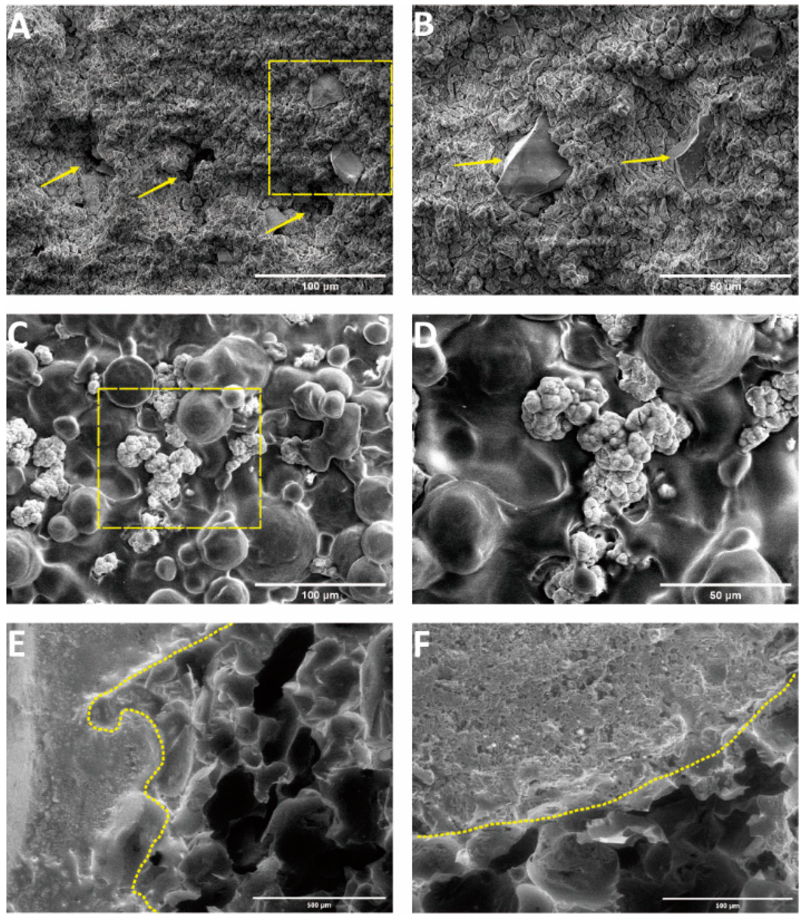 Life 12 00997 g004 550