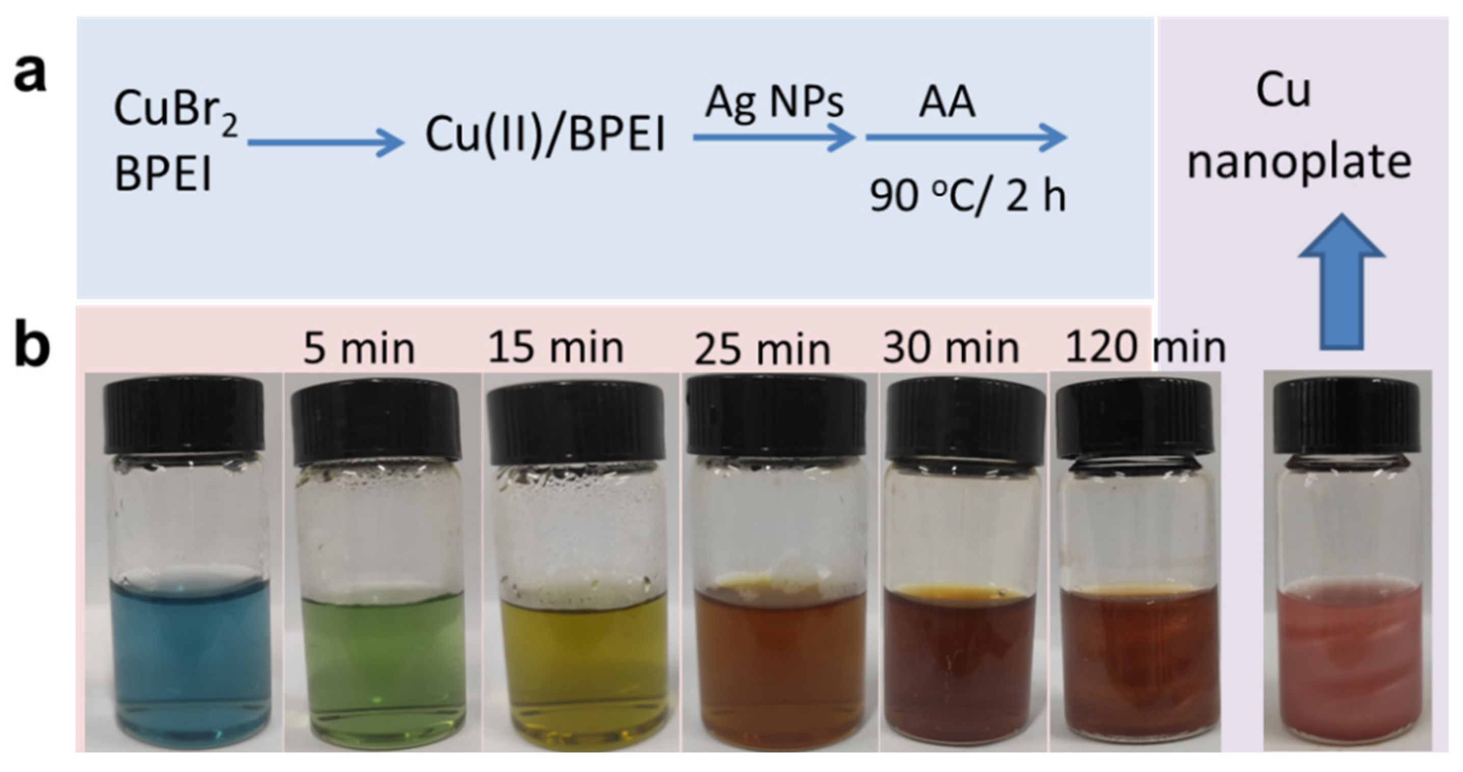 Life 12 00999 sch001