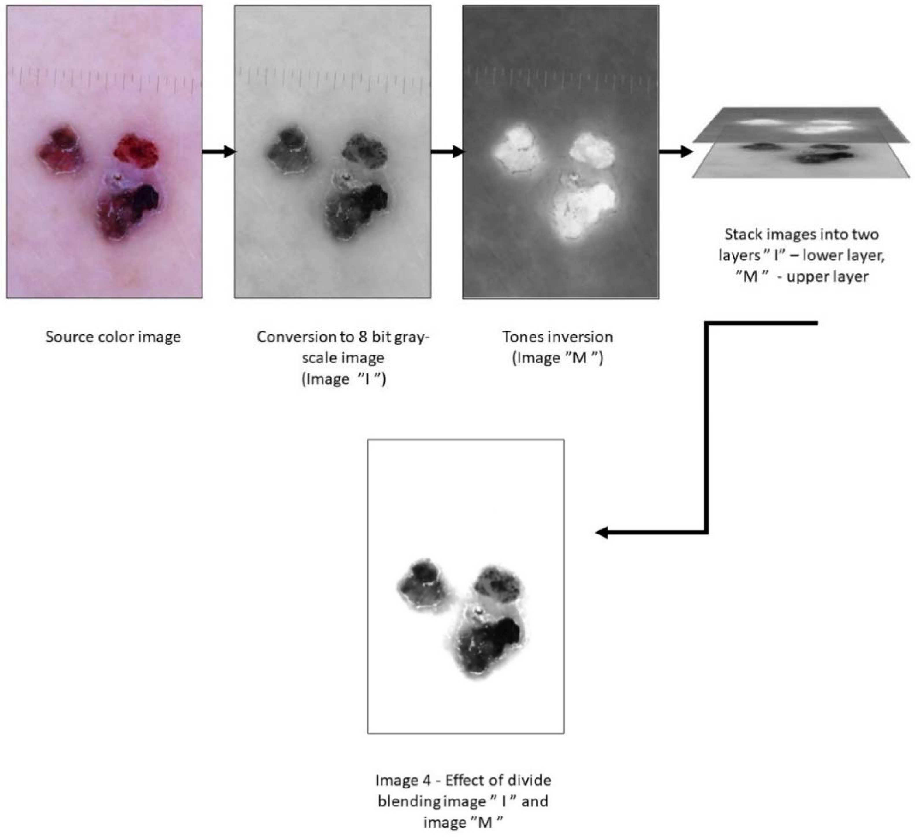 Life 12 01008 g002 Life 12 01008 g002