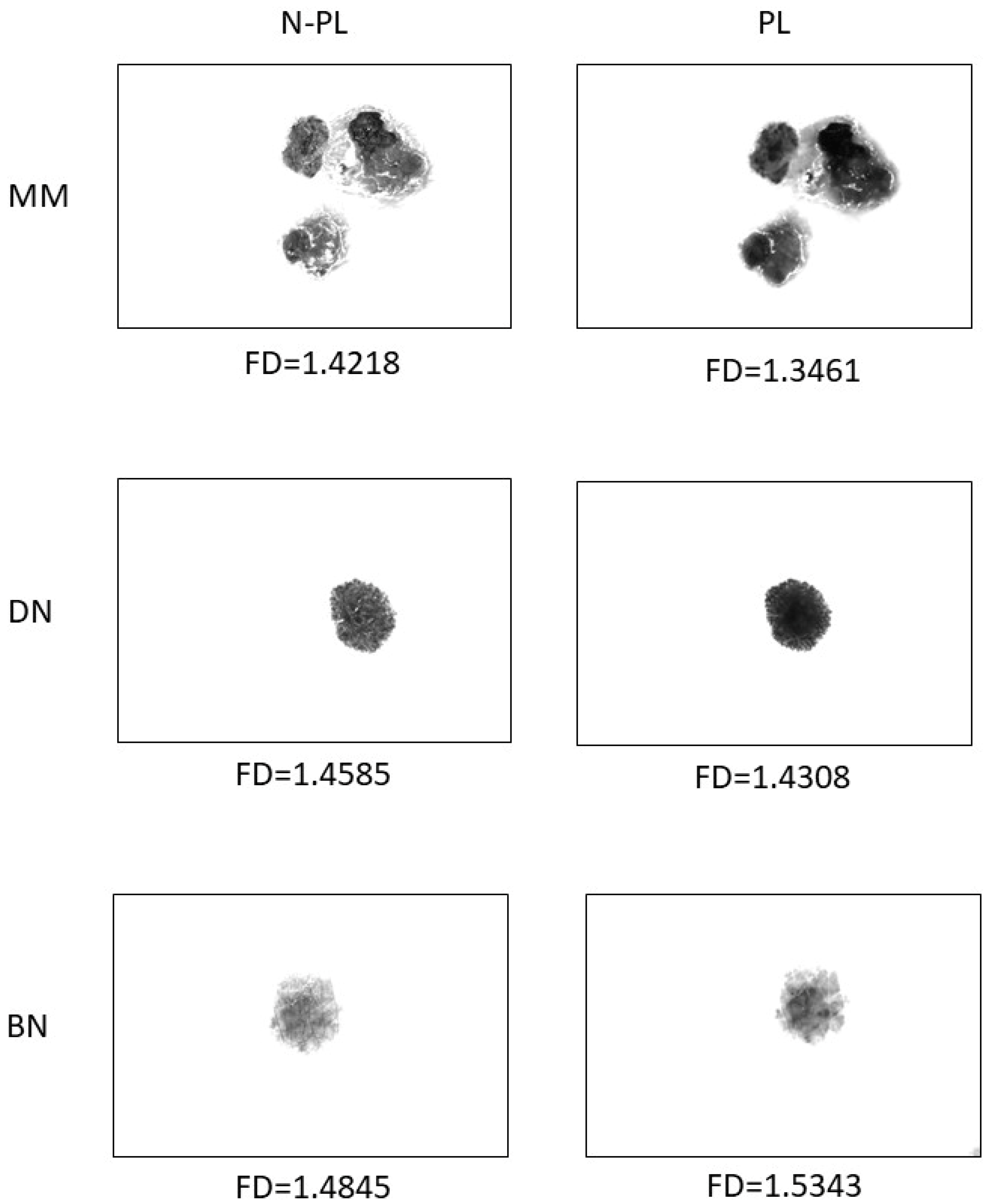 Life 12 01008 g003 Life 12 01008 g003