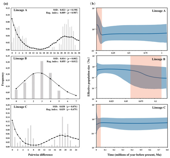 Phylogeographical Analysis of the Freshwater Gudgeon