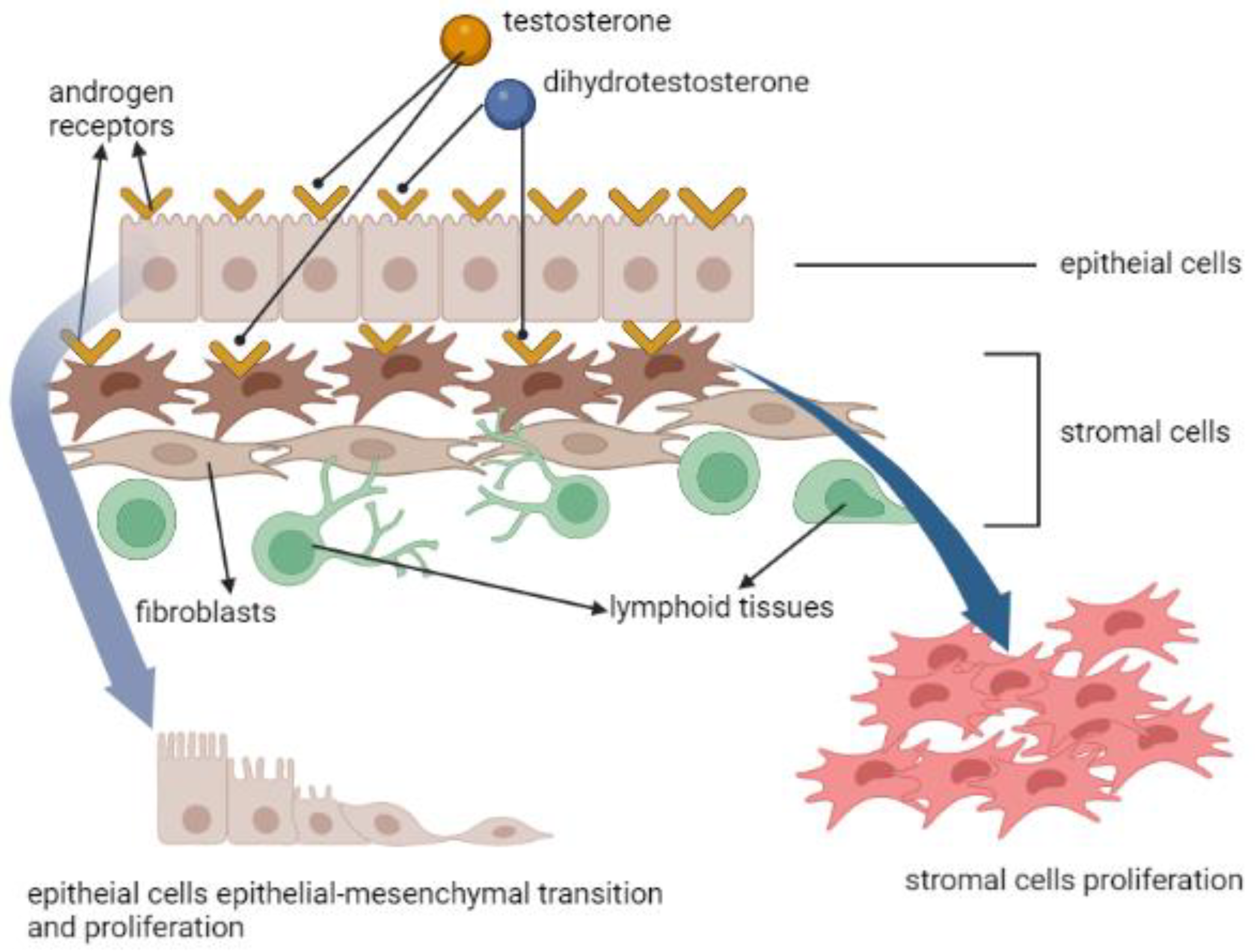 Life 12 01029 g003 Life 12 01029 g003