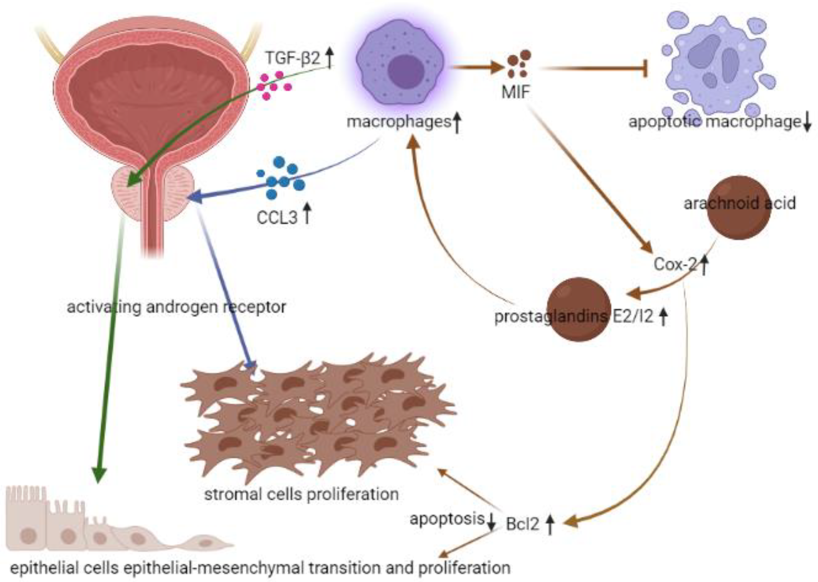 Life 12 01029 g004 Life 12 01029 g004
