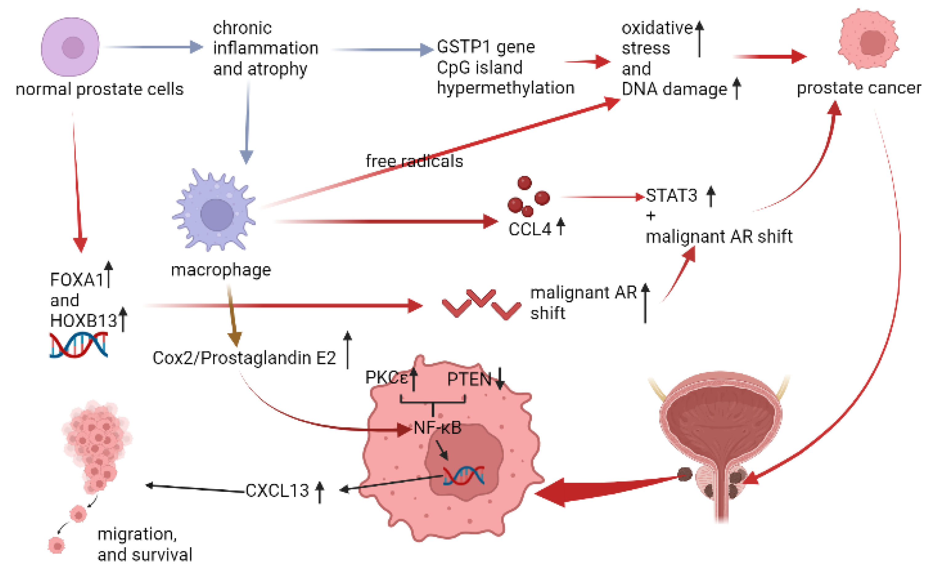 Life 12 01029 g005 Life 12 01029 g005