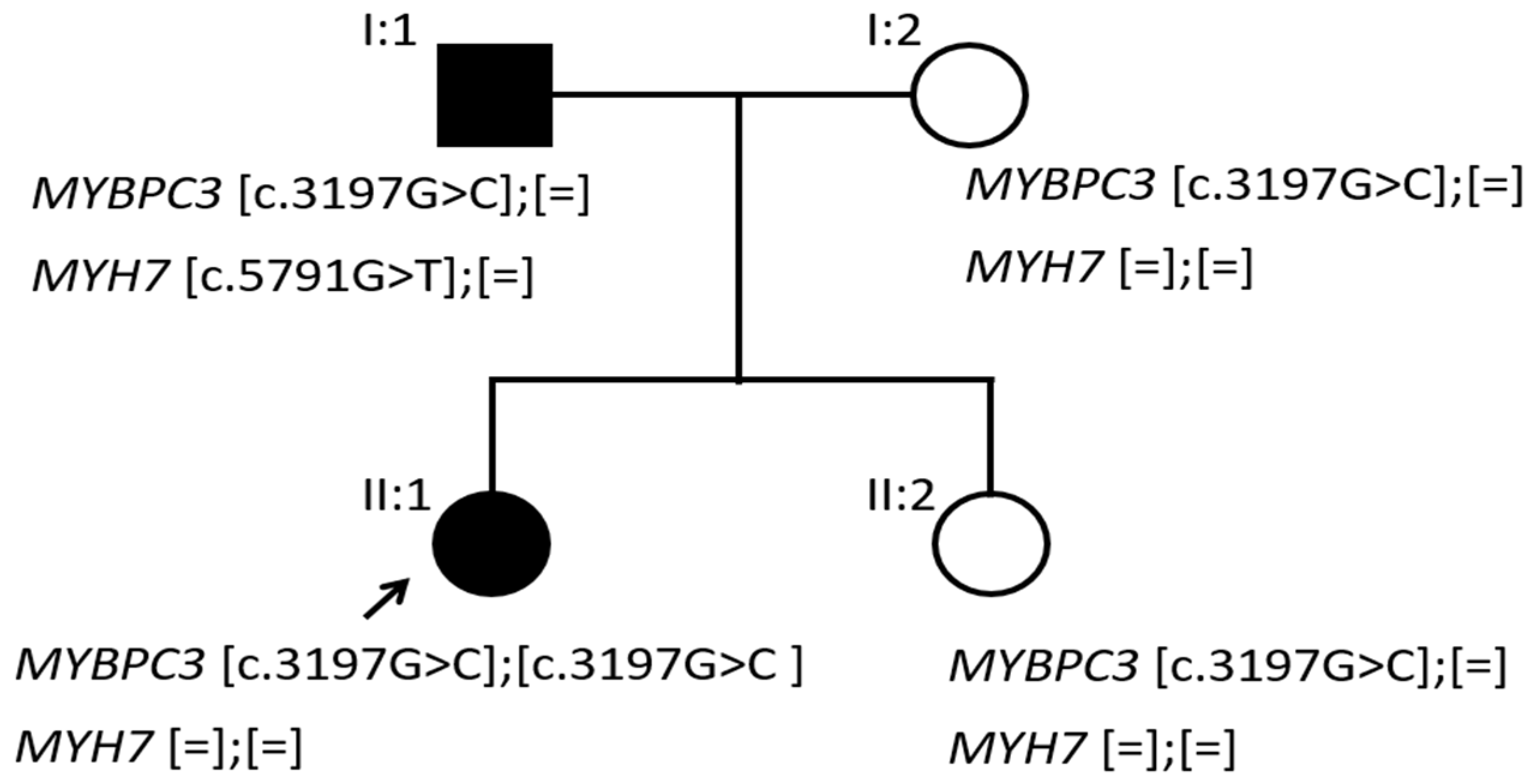 Life 12 01035 g003 550