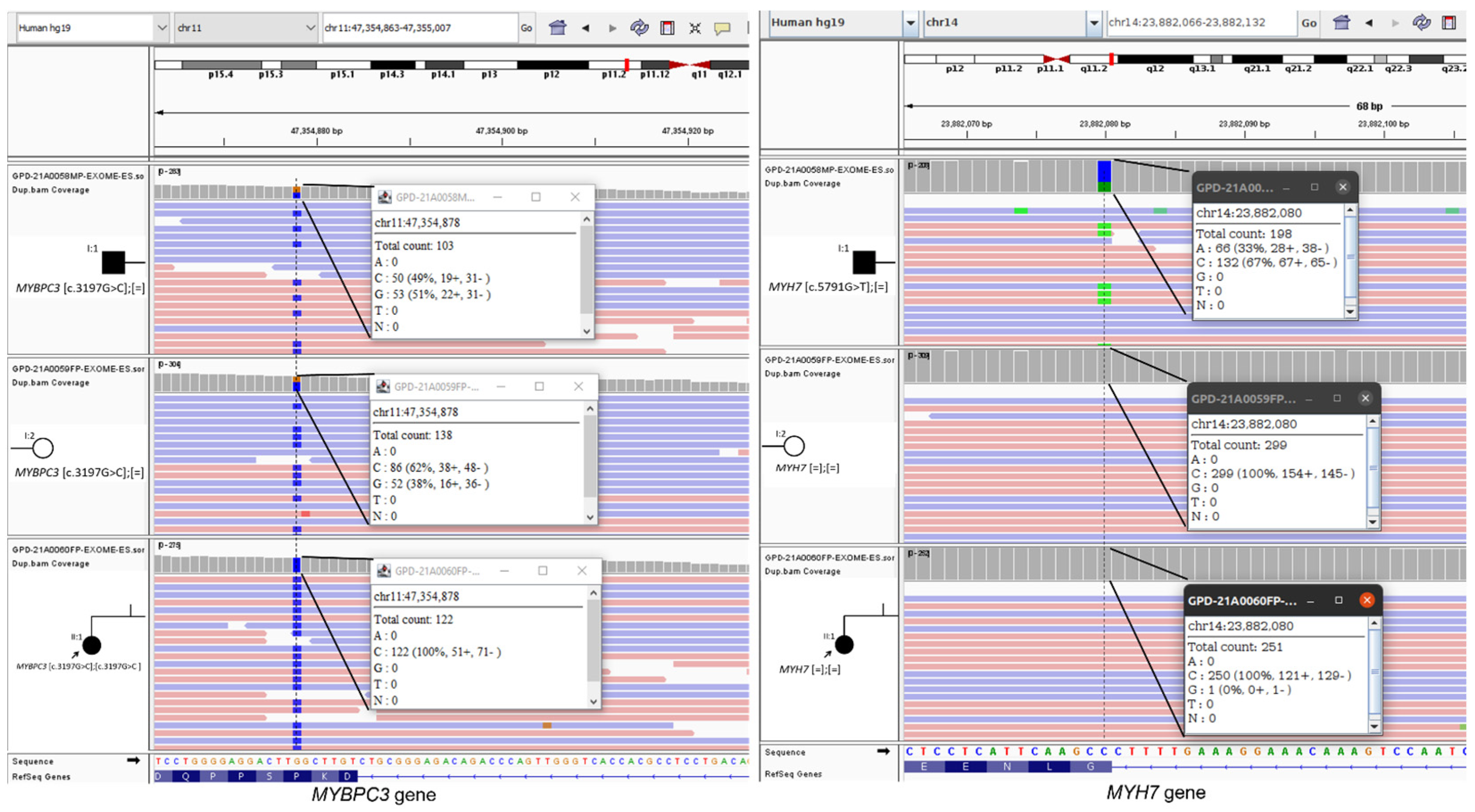 Life 12 01035 g004 550