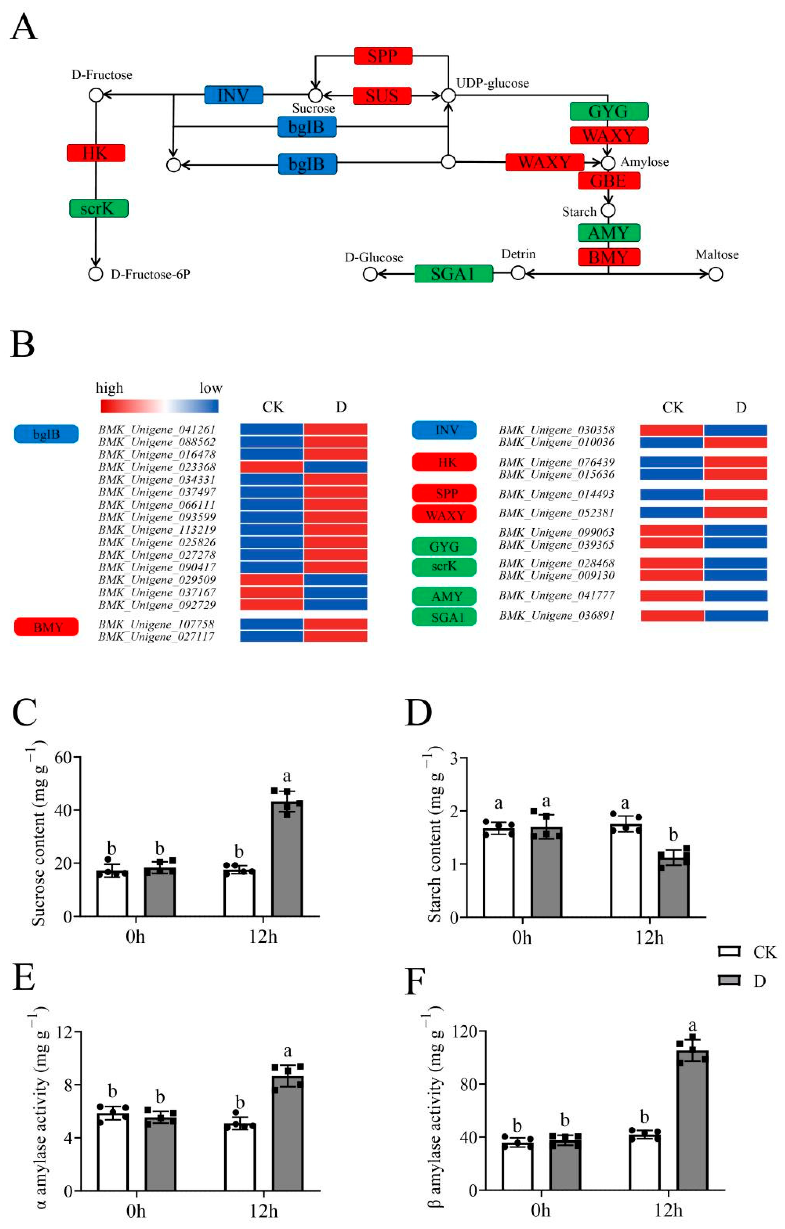 Life 12 01051 g007 550