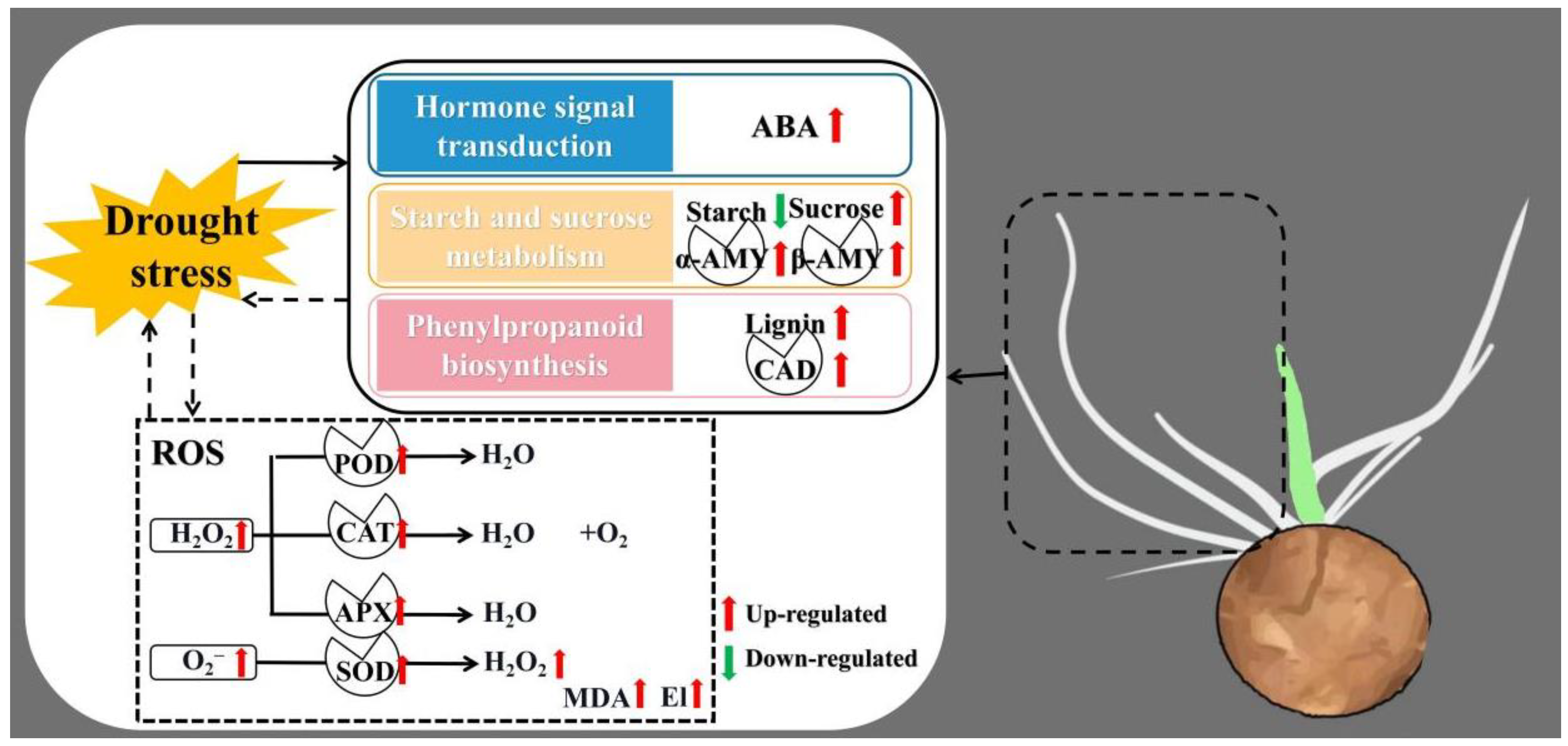 Life 12 01051 g009 550