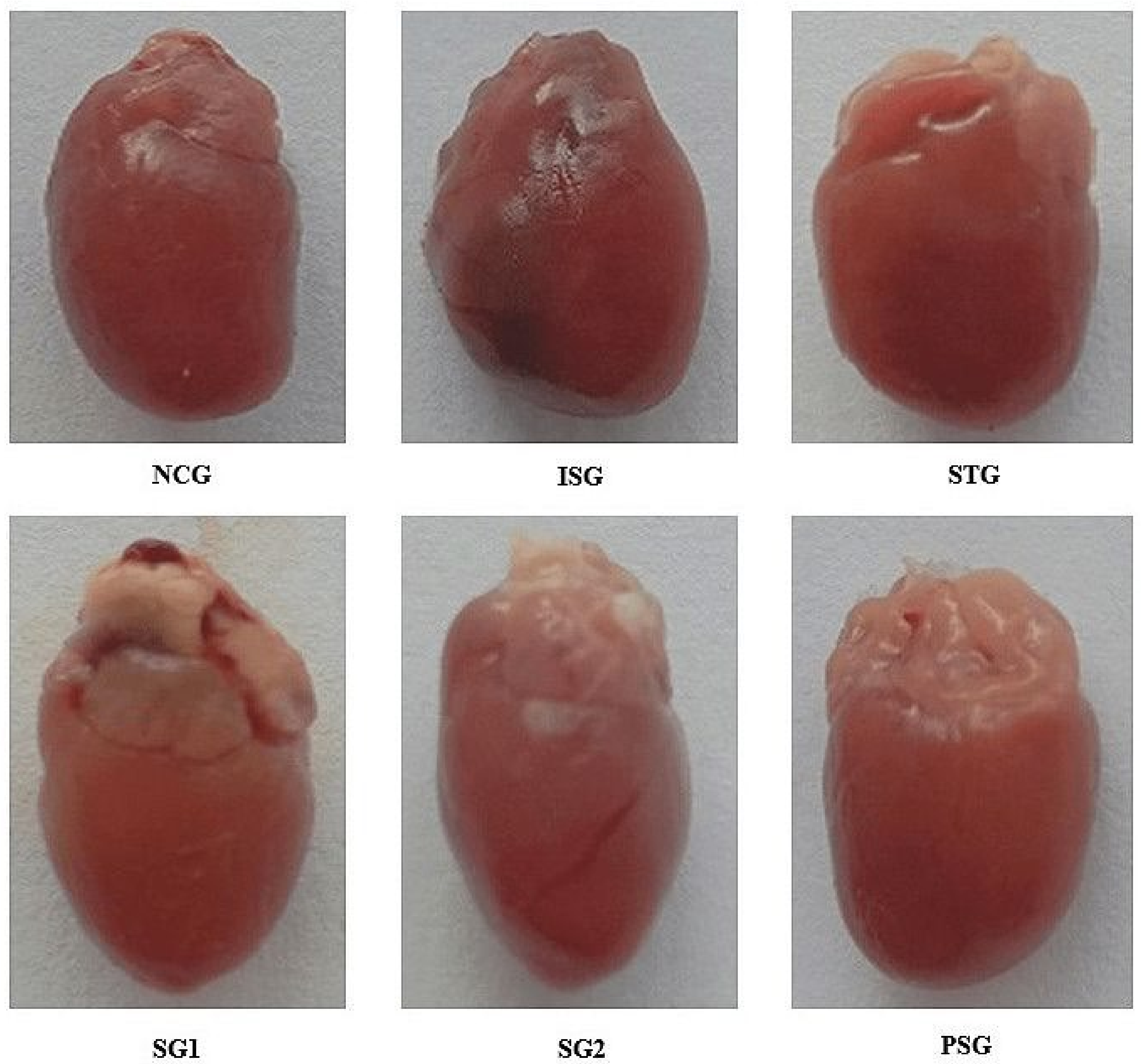 Life 12 01063 g001 Life 12 01063 g001