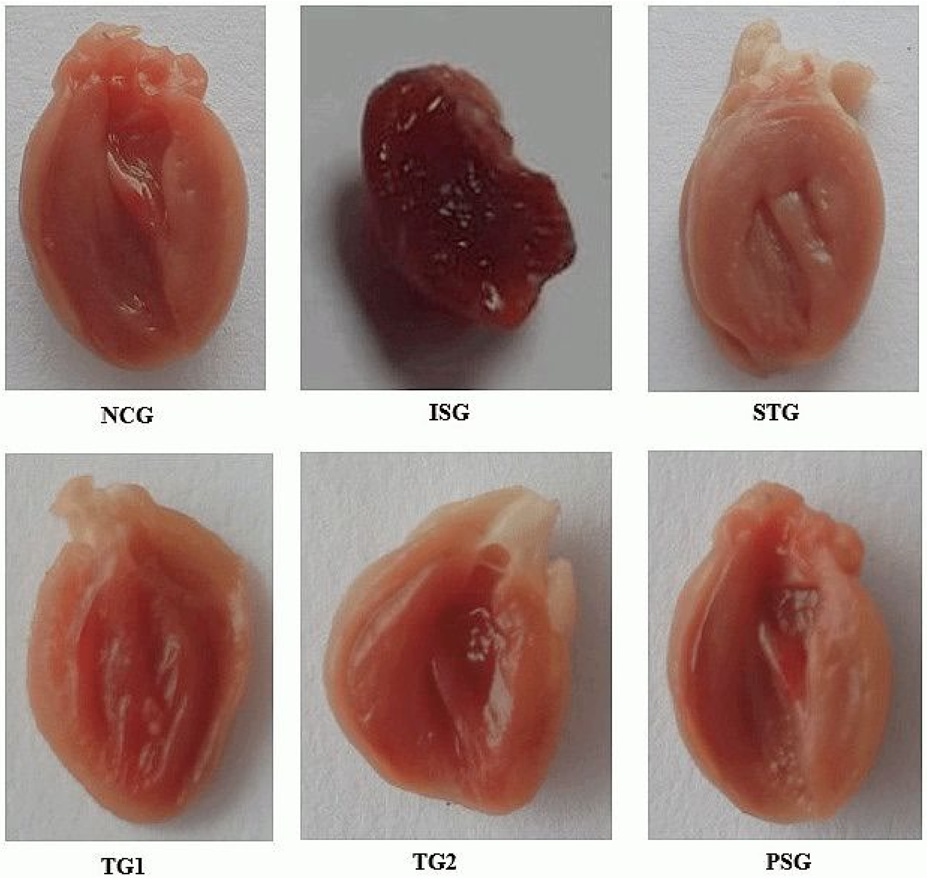 Life 12 01063 g003 Life 12 01063 g003