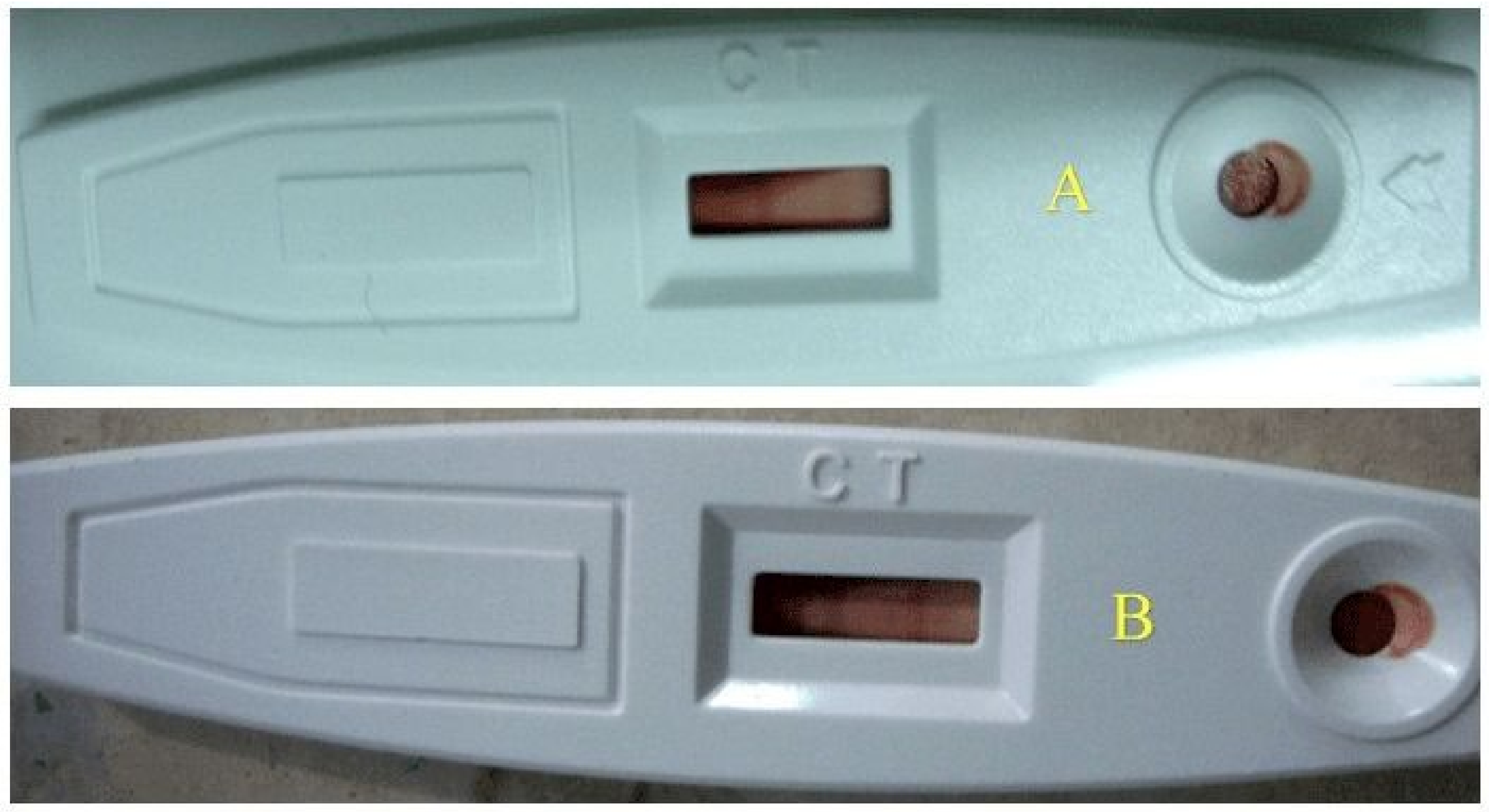 Life 12 01063 g006 Life 12 01063 g006