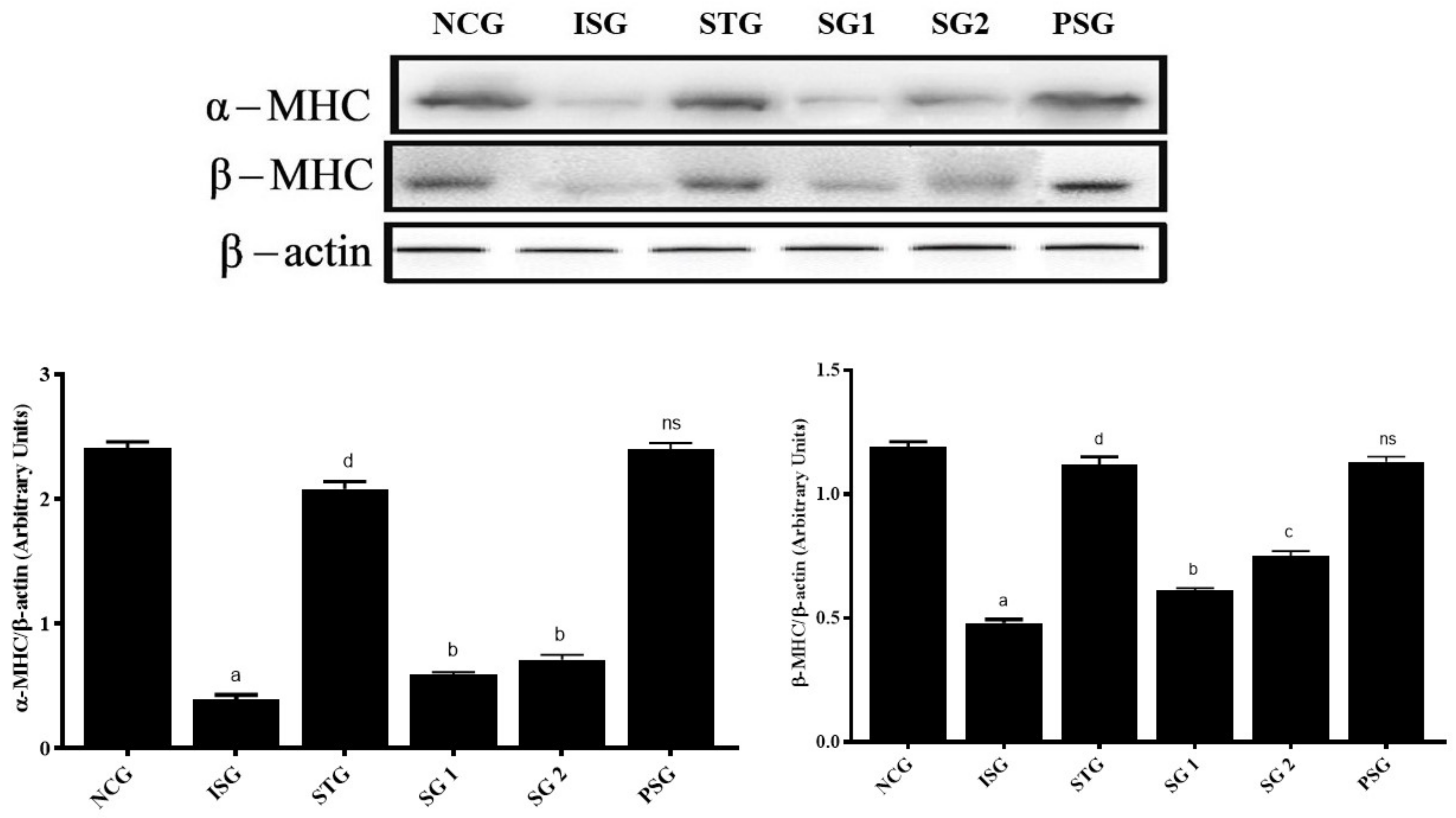 Life 12 01063 g016 Life 12 01063 g016