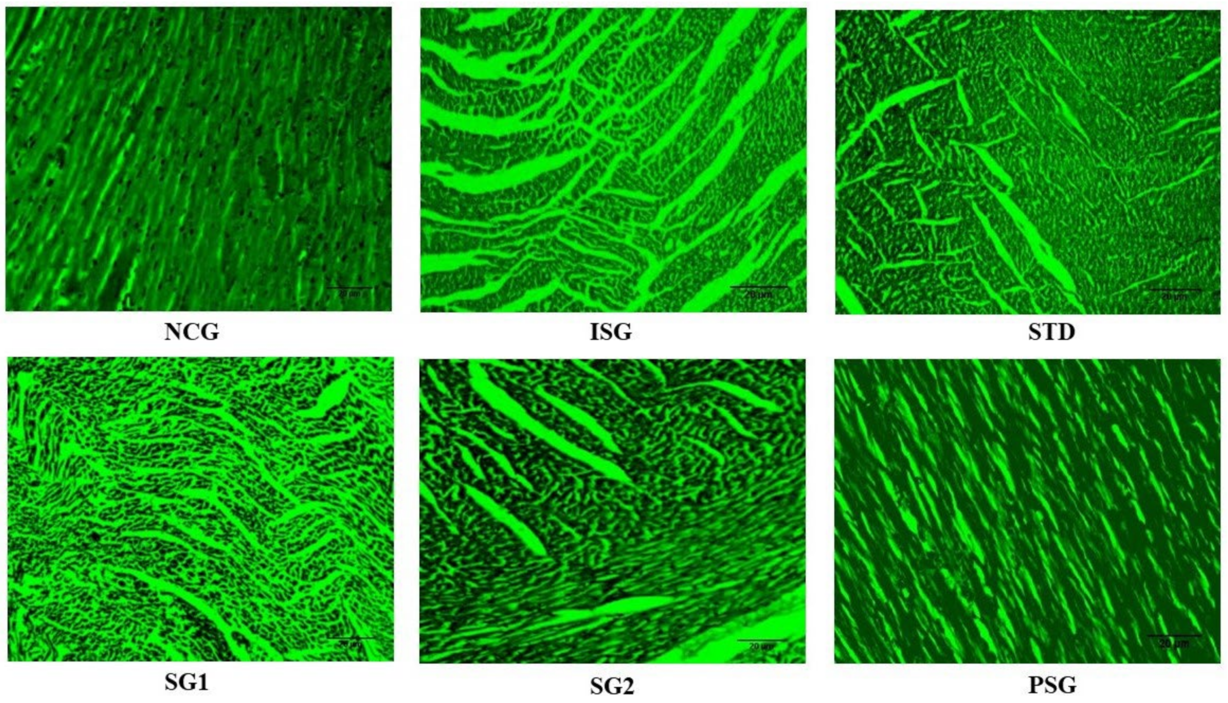 Life 12 01063 g019 Life 12 01063 g019