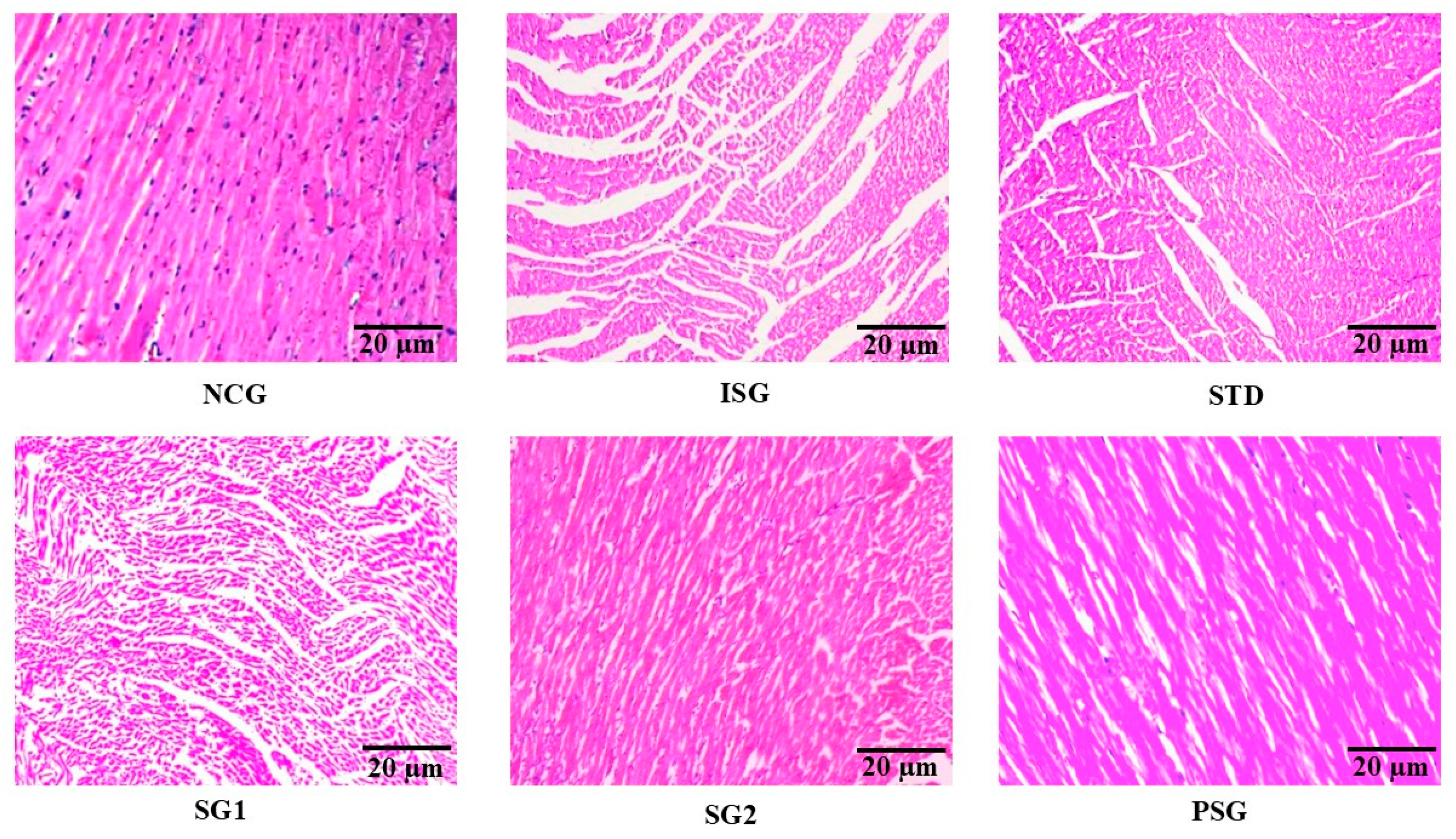 Life 12 01063 g021 Life 12 01063 g021