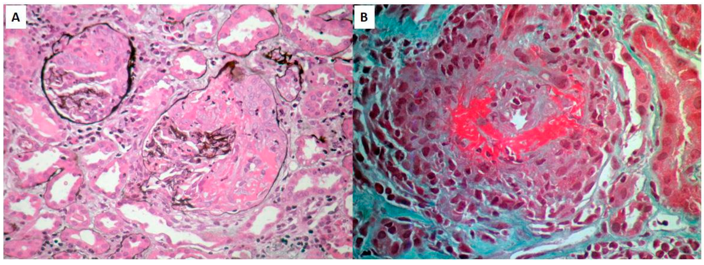 Life 12 01072 g001 550