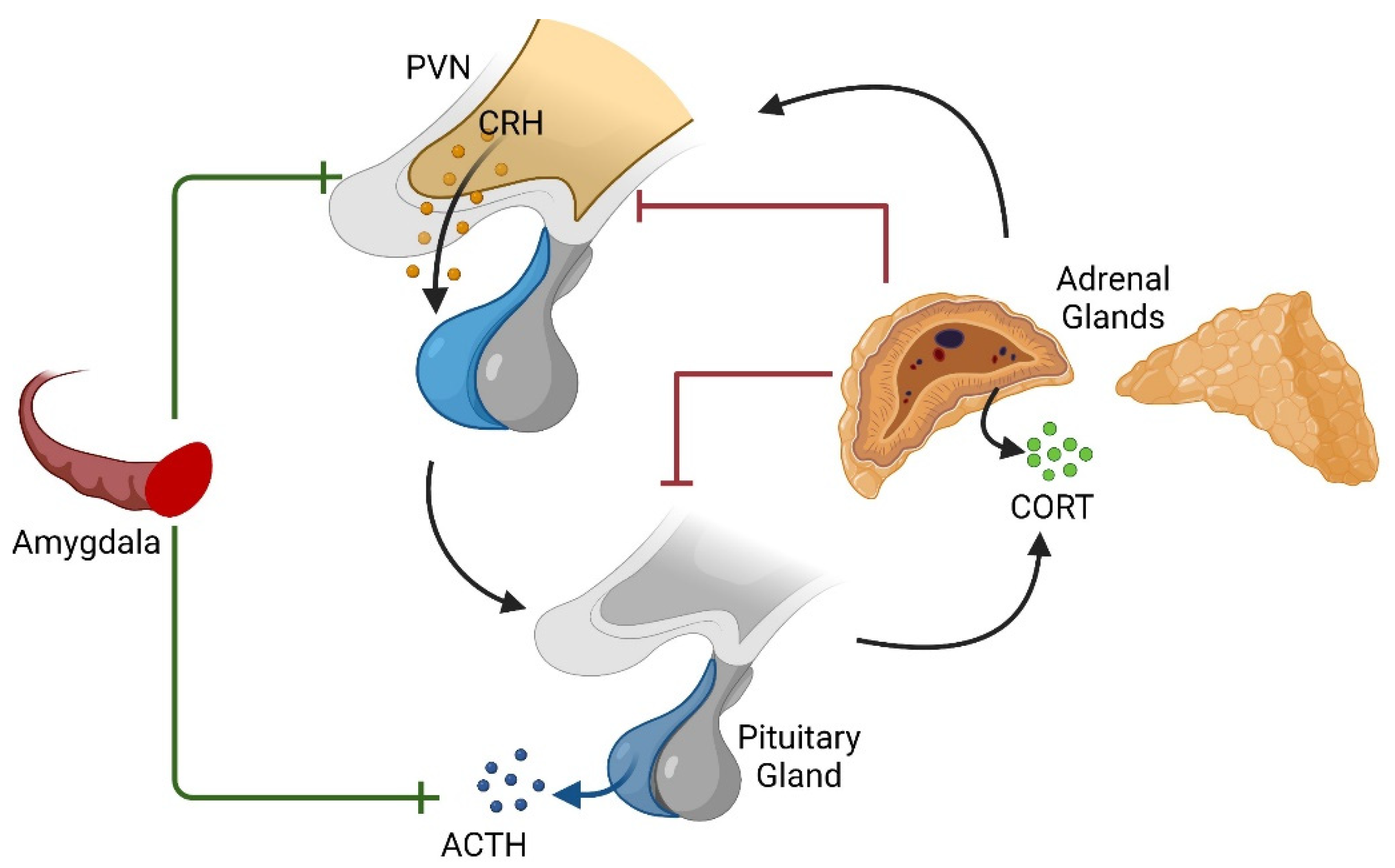 Life 12 01077 g001 550