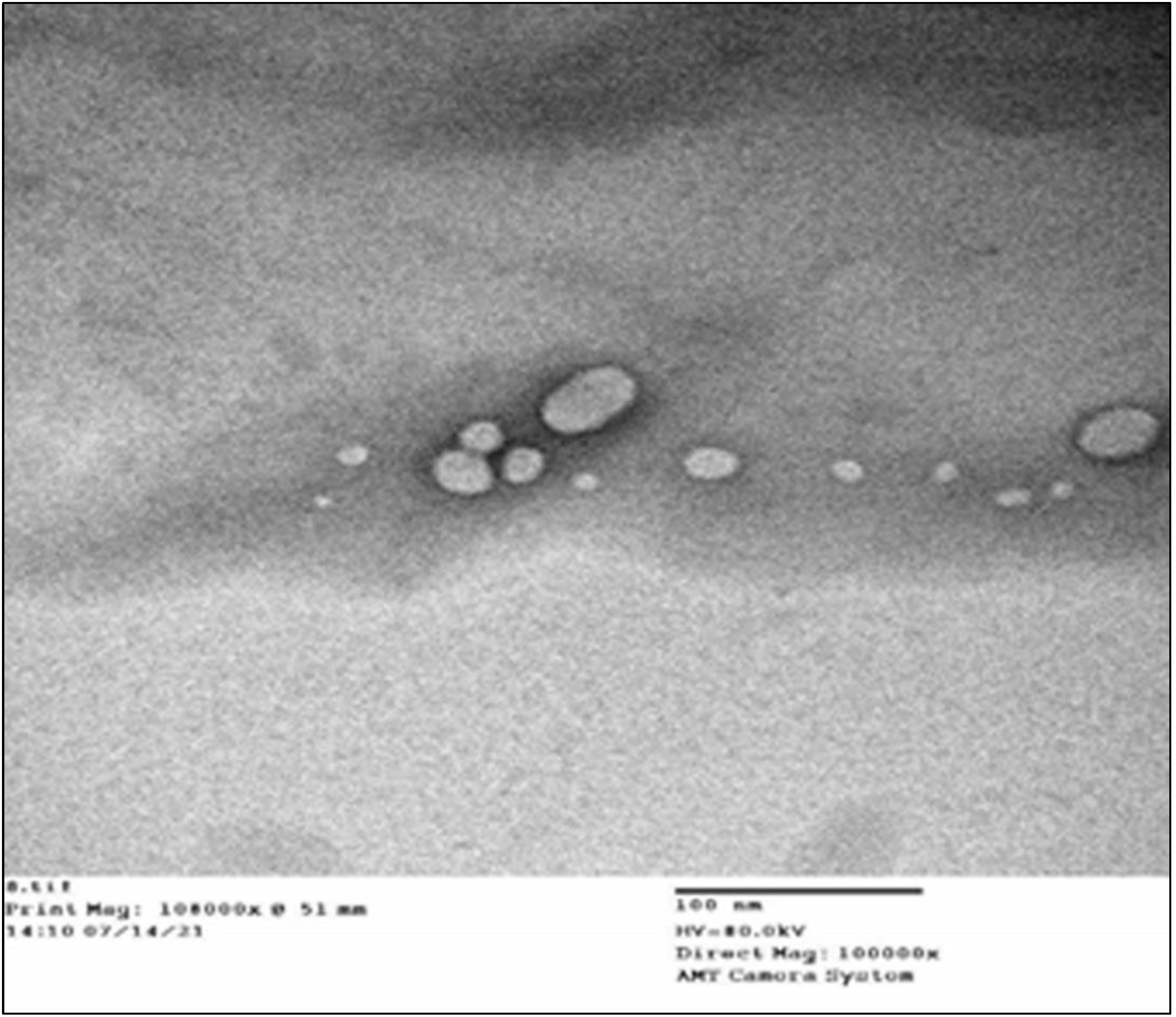 Life 12 01096 g006 550