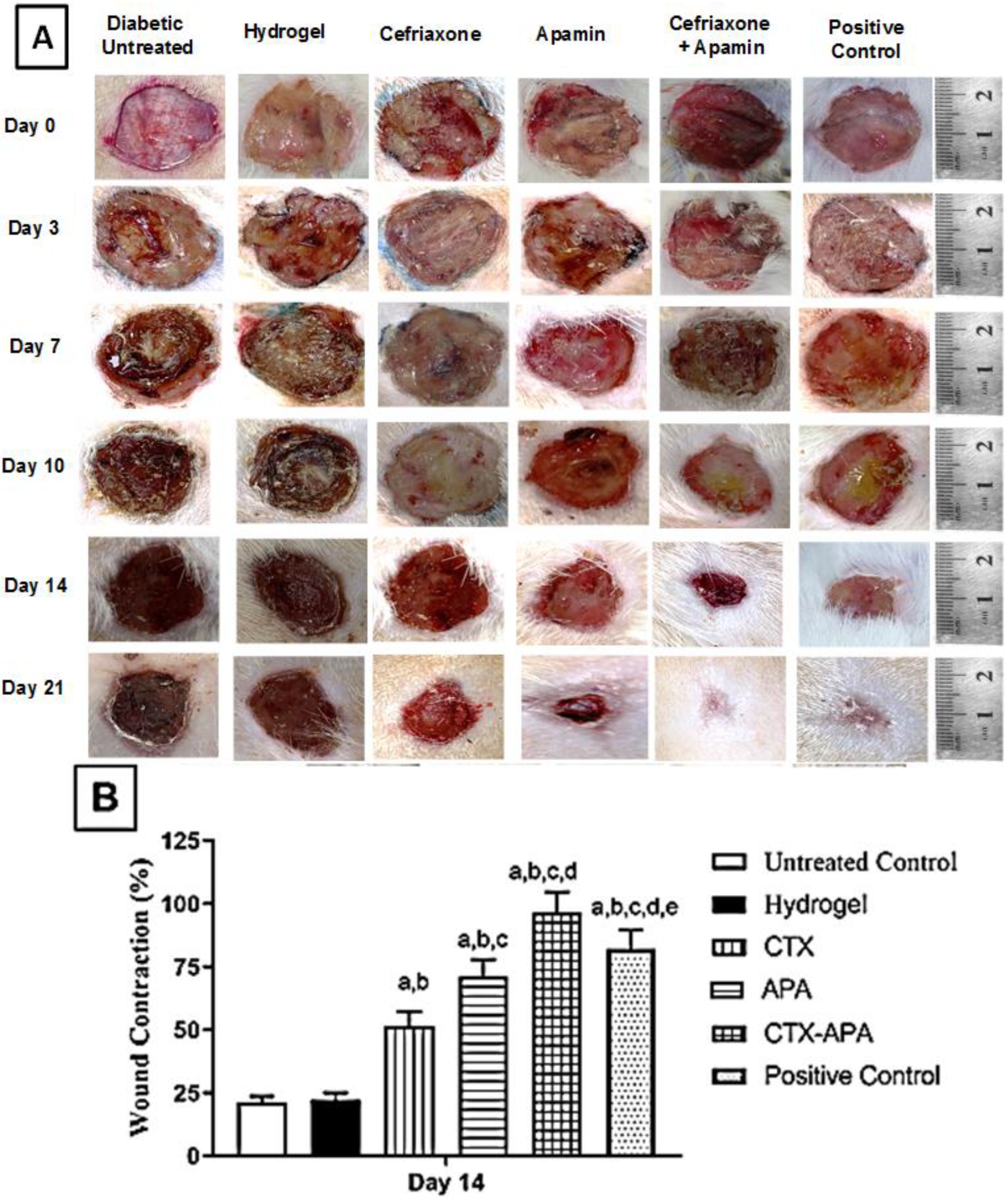Life 12 01096 g007 550