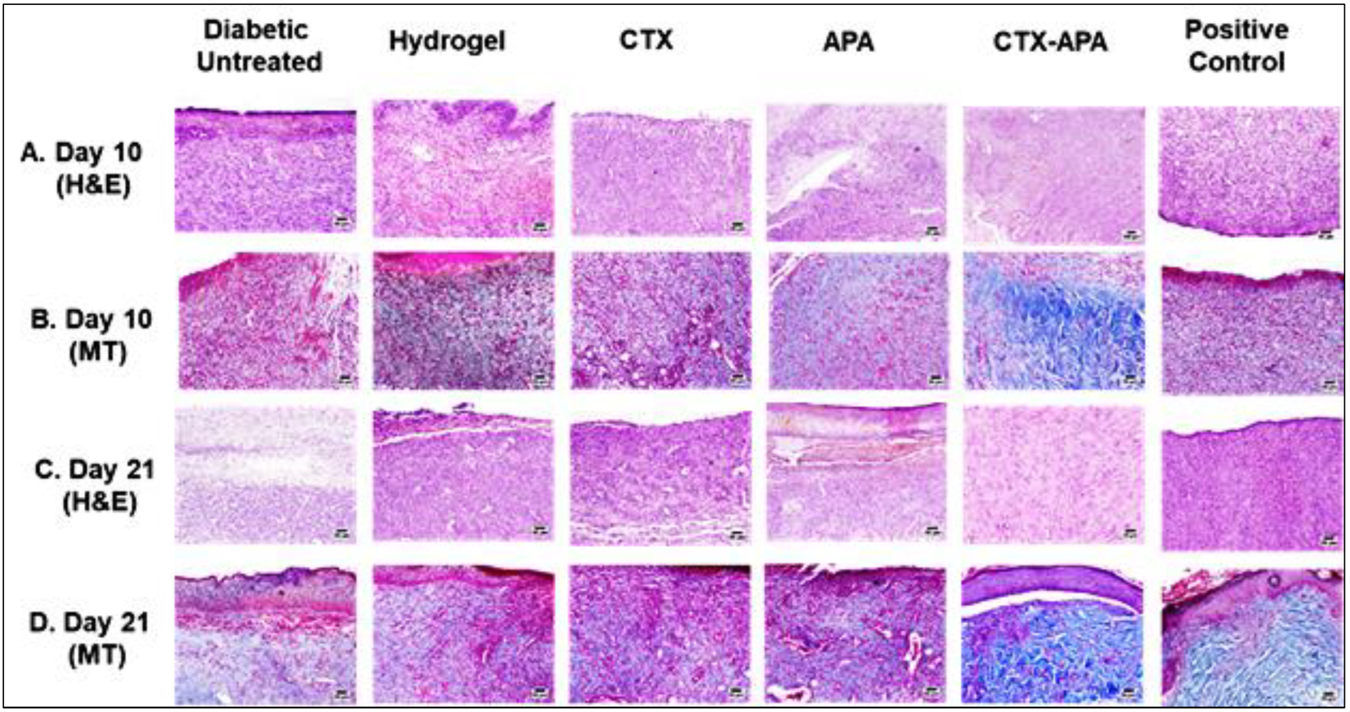 Life 12 01096 g008 550