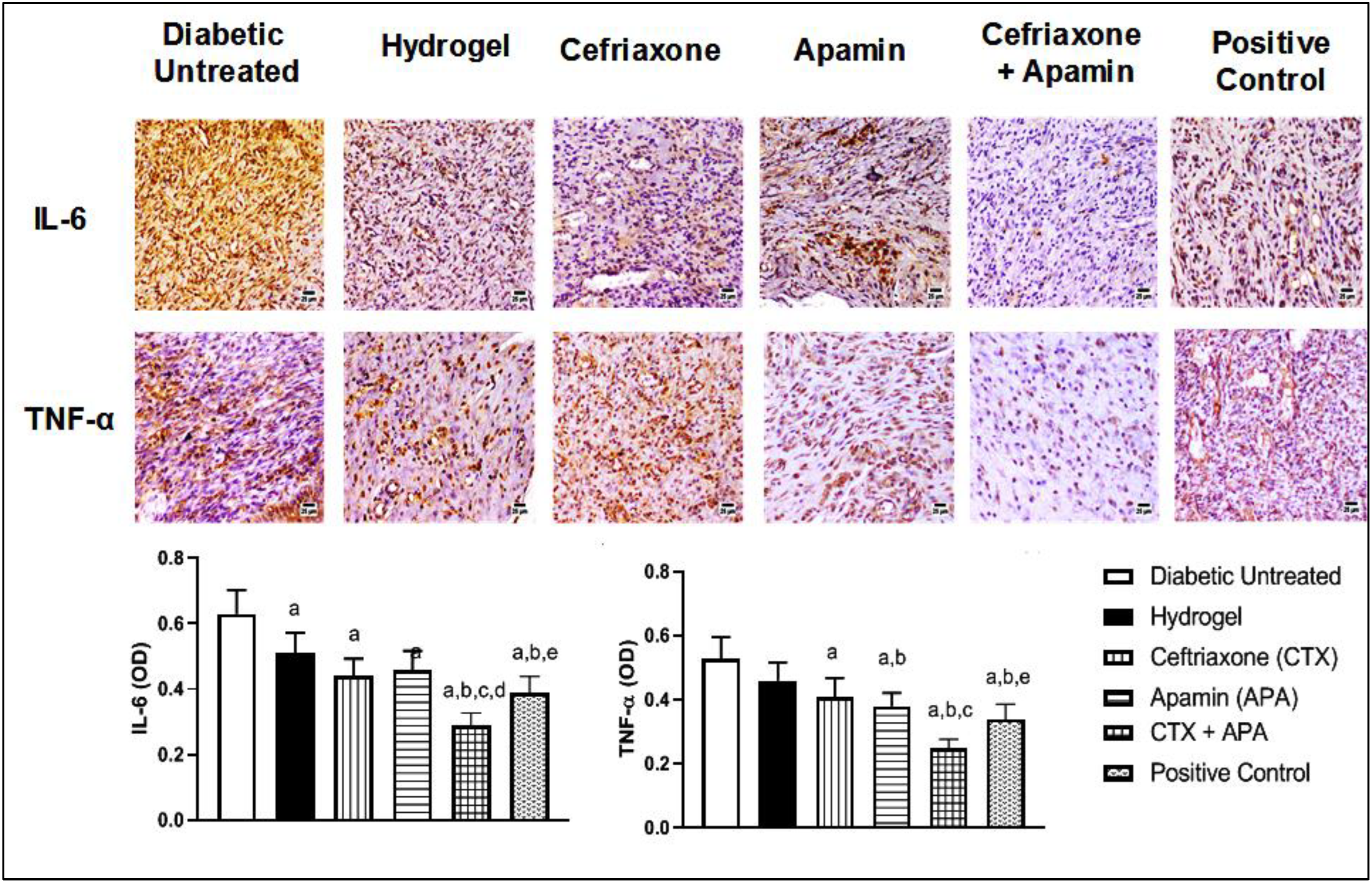 Life 12 01096 g009 550