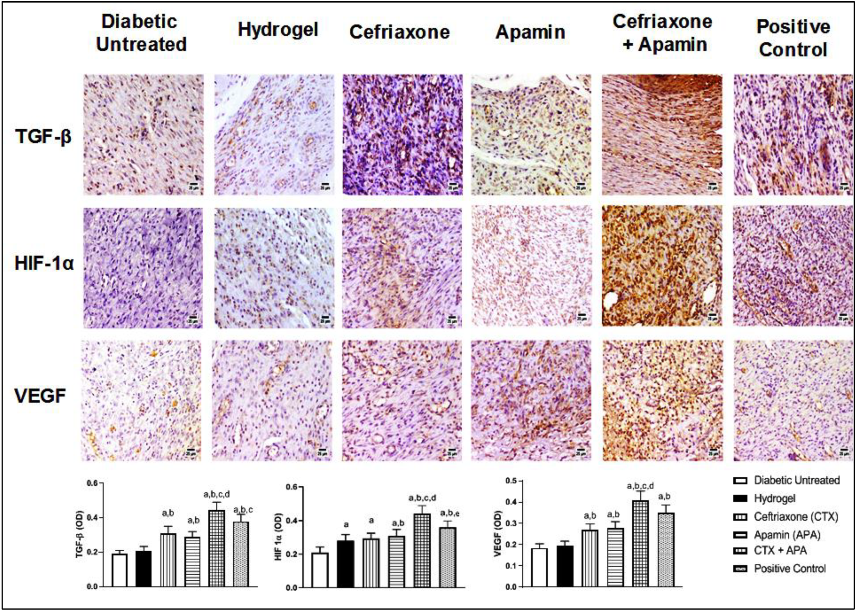 Life 12 01096 g011 550