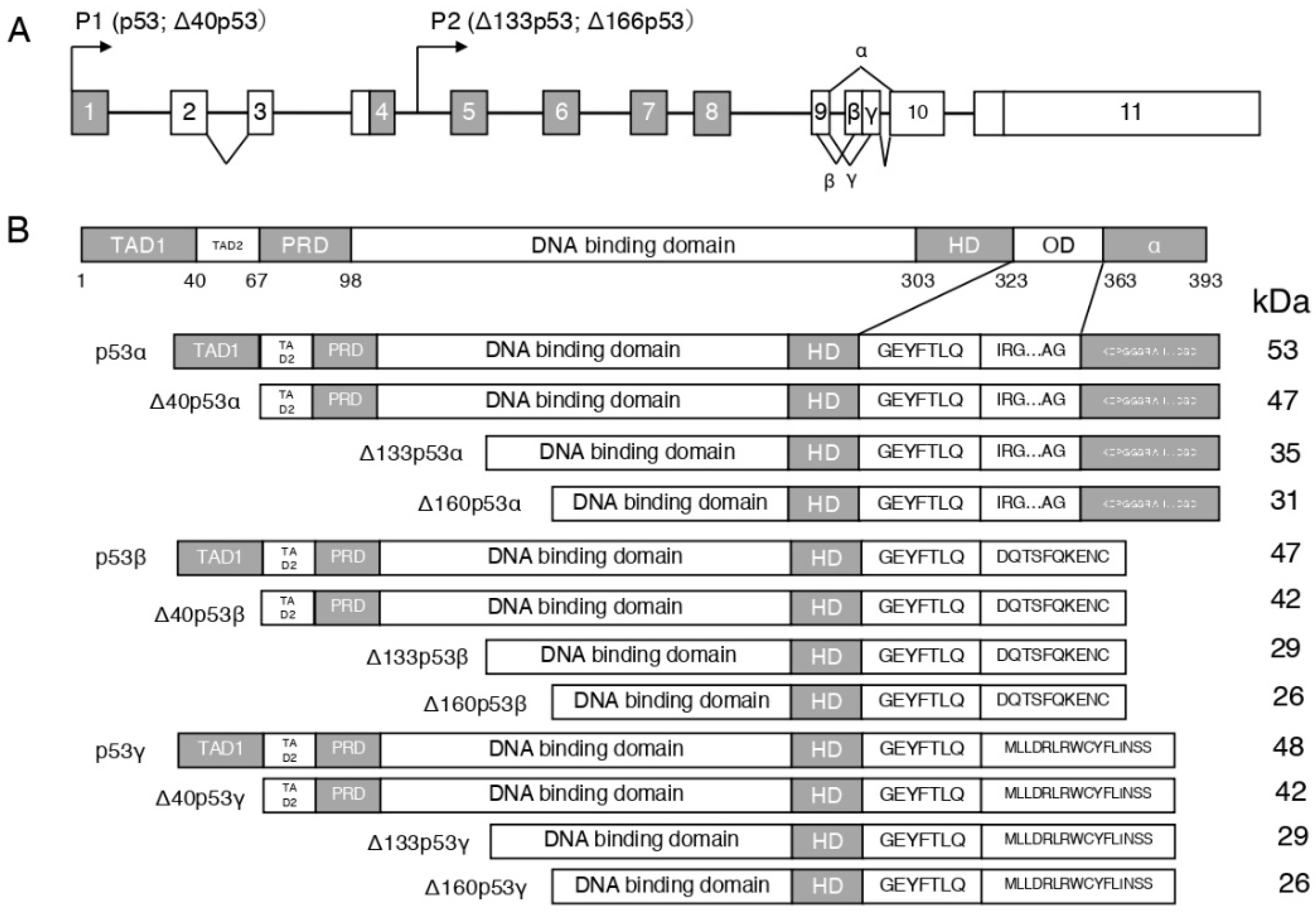 Life 12 01099 g001 Life 12 01099 g001