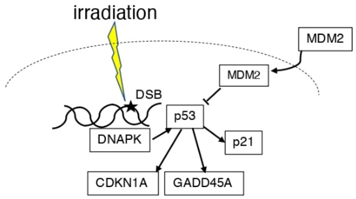 Life 12 01099 g002 Life 12 01099 g002