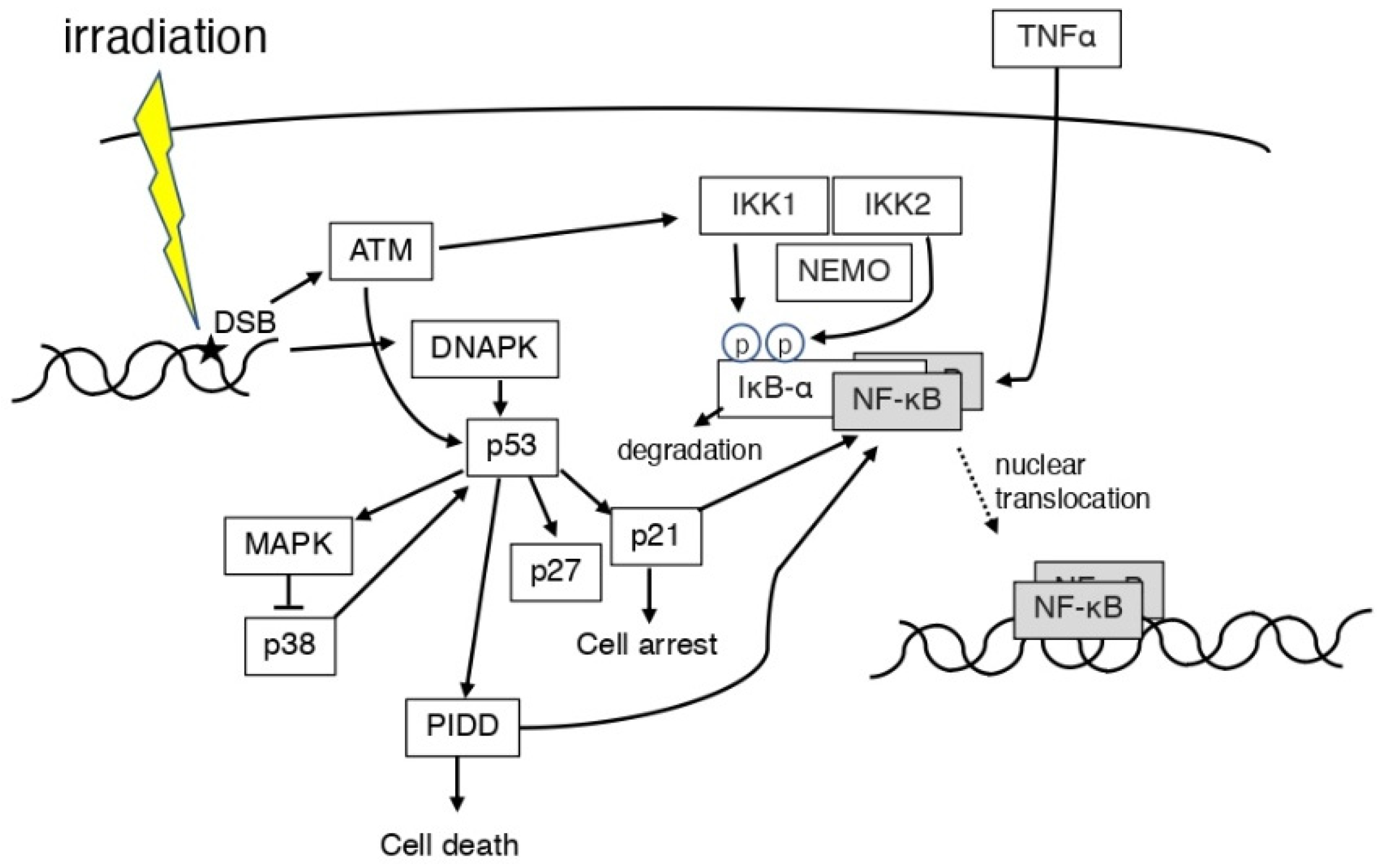 Life 12 01099 g003 Life 12 01099 g003