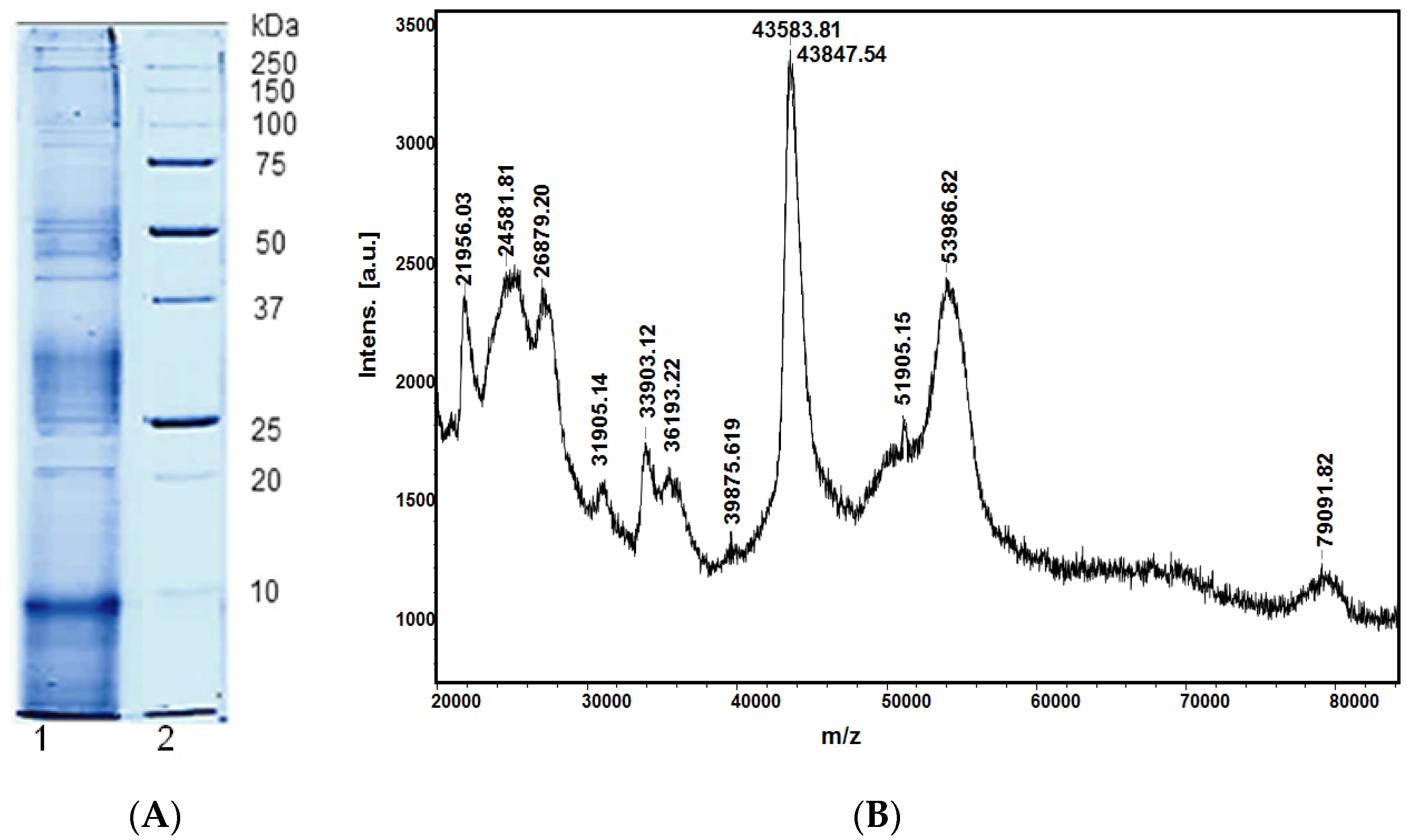 Life 12 01106 g001 Life 12 01106 g001