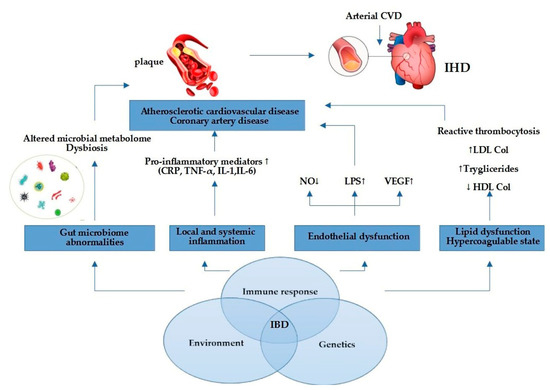 Ischemic Heart Disease in Patients with Inflammatory Bowel Disease ...