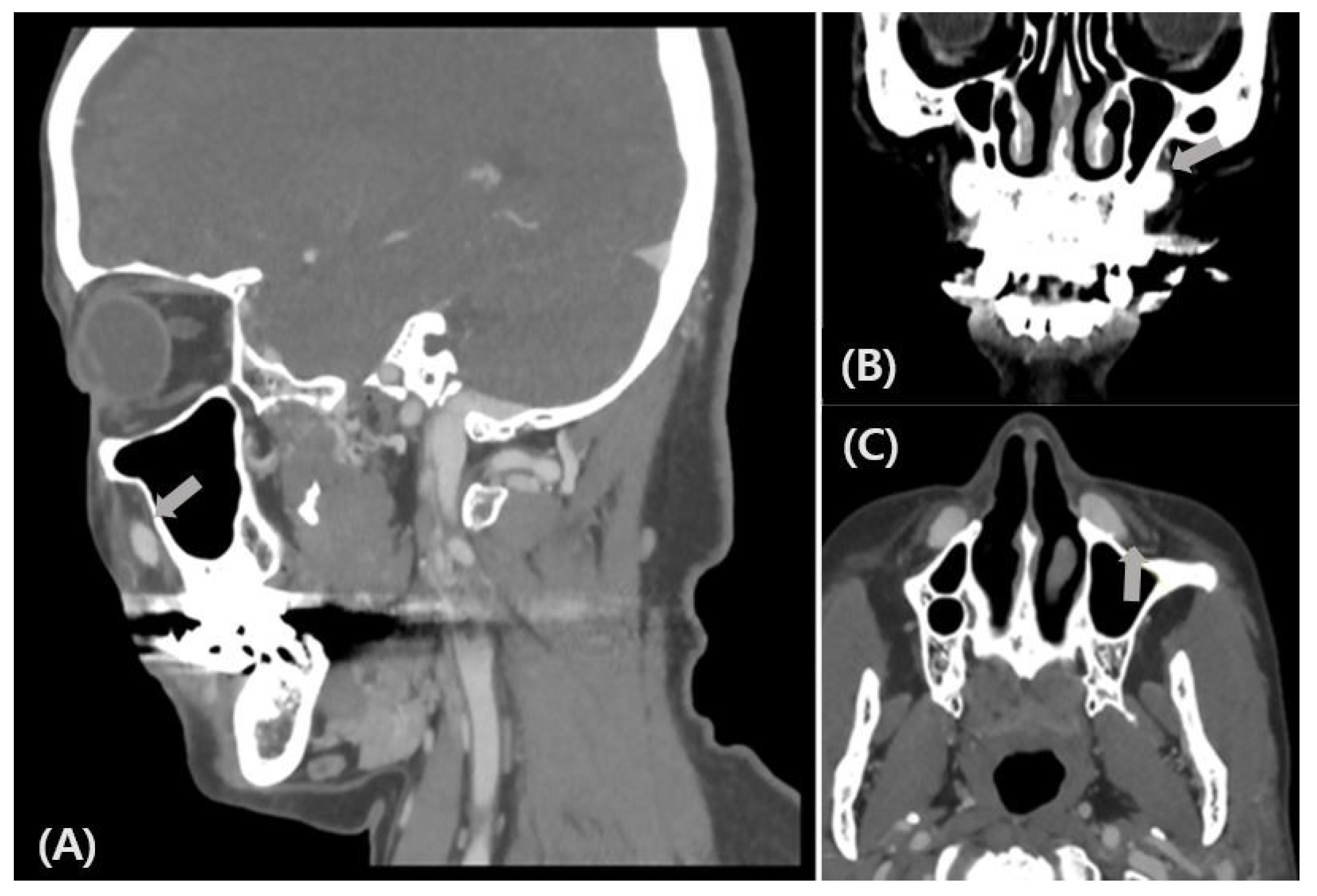 Life 12 01122 g001 Life 12 01122 g001