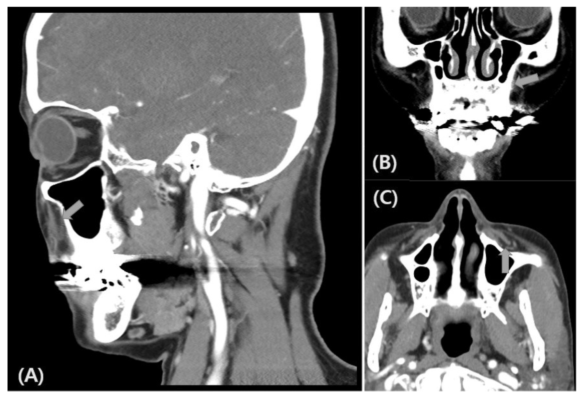 Life 12 01122 g004 Life 12 01122 g004