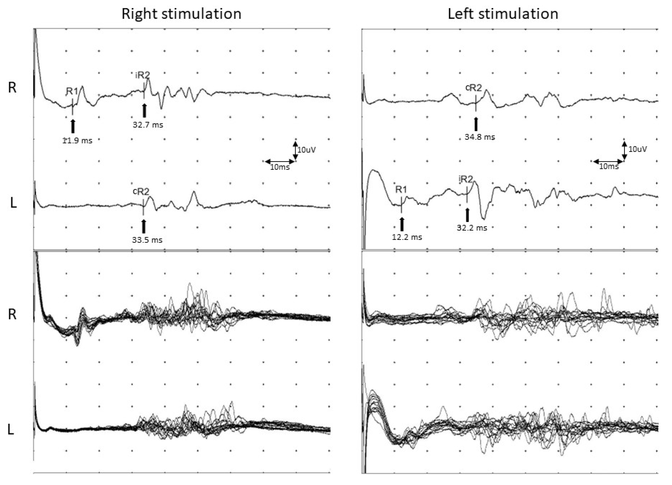 Life 12 01122 g005 Life 12 01122 g005