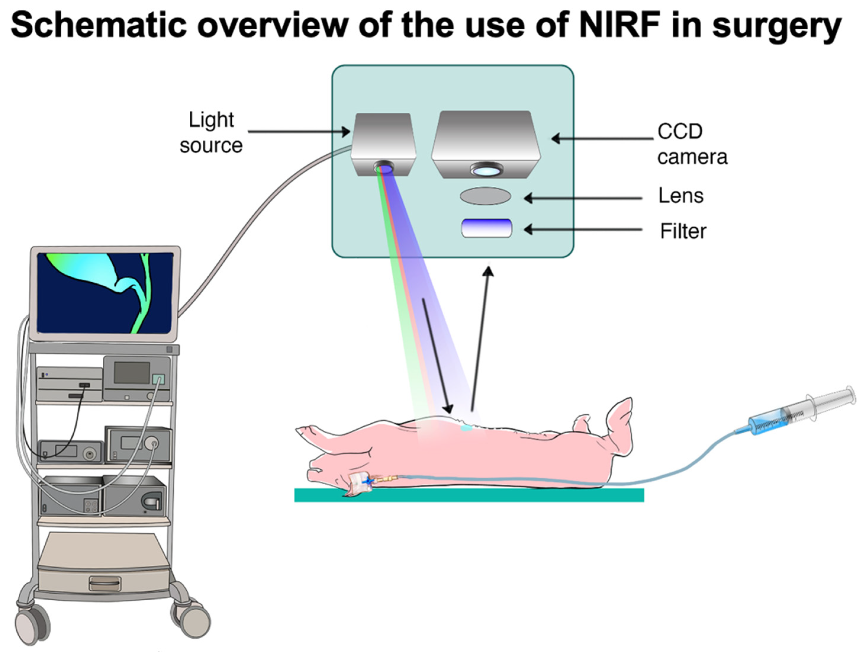 Life 12 01123 g001 550