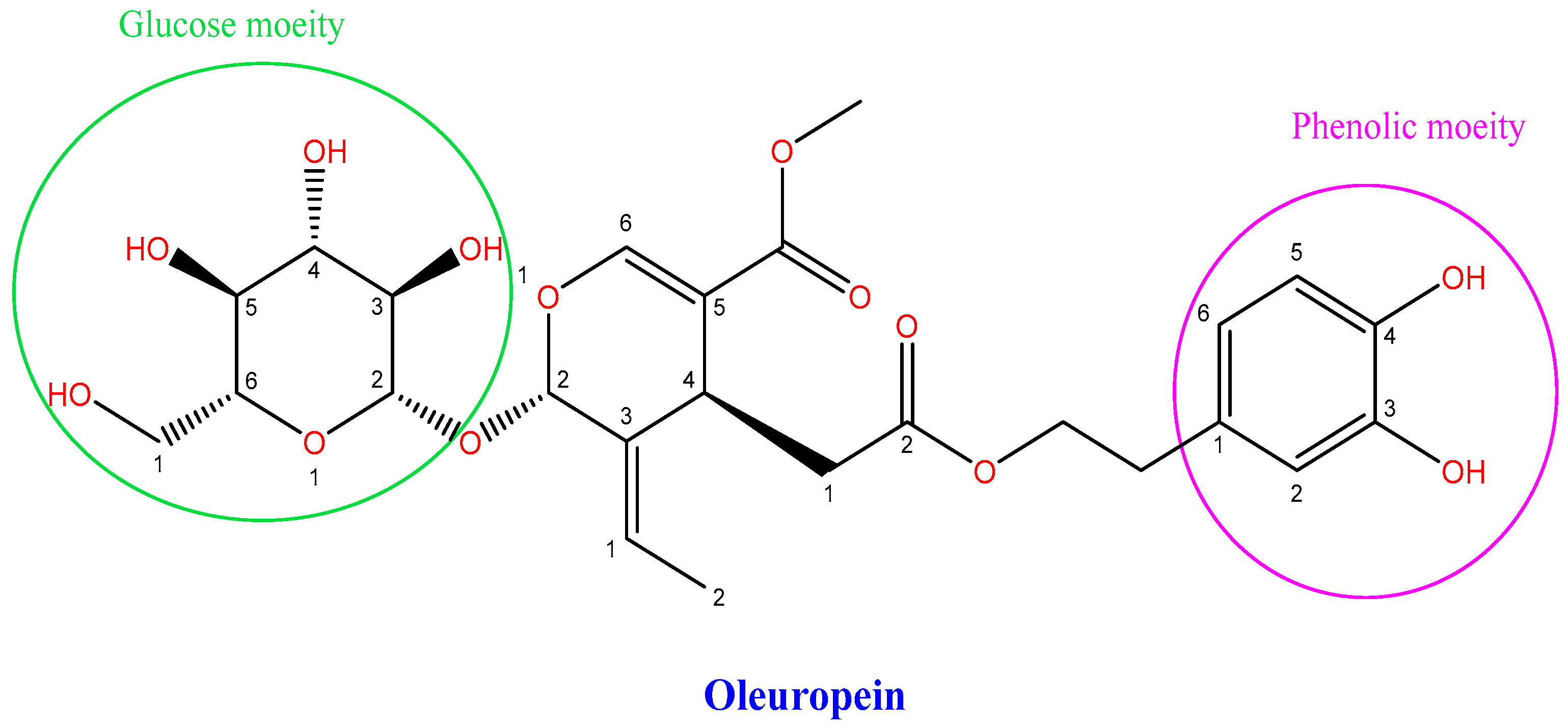 Life 12 01140 g001 Life 12 01140 g001