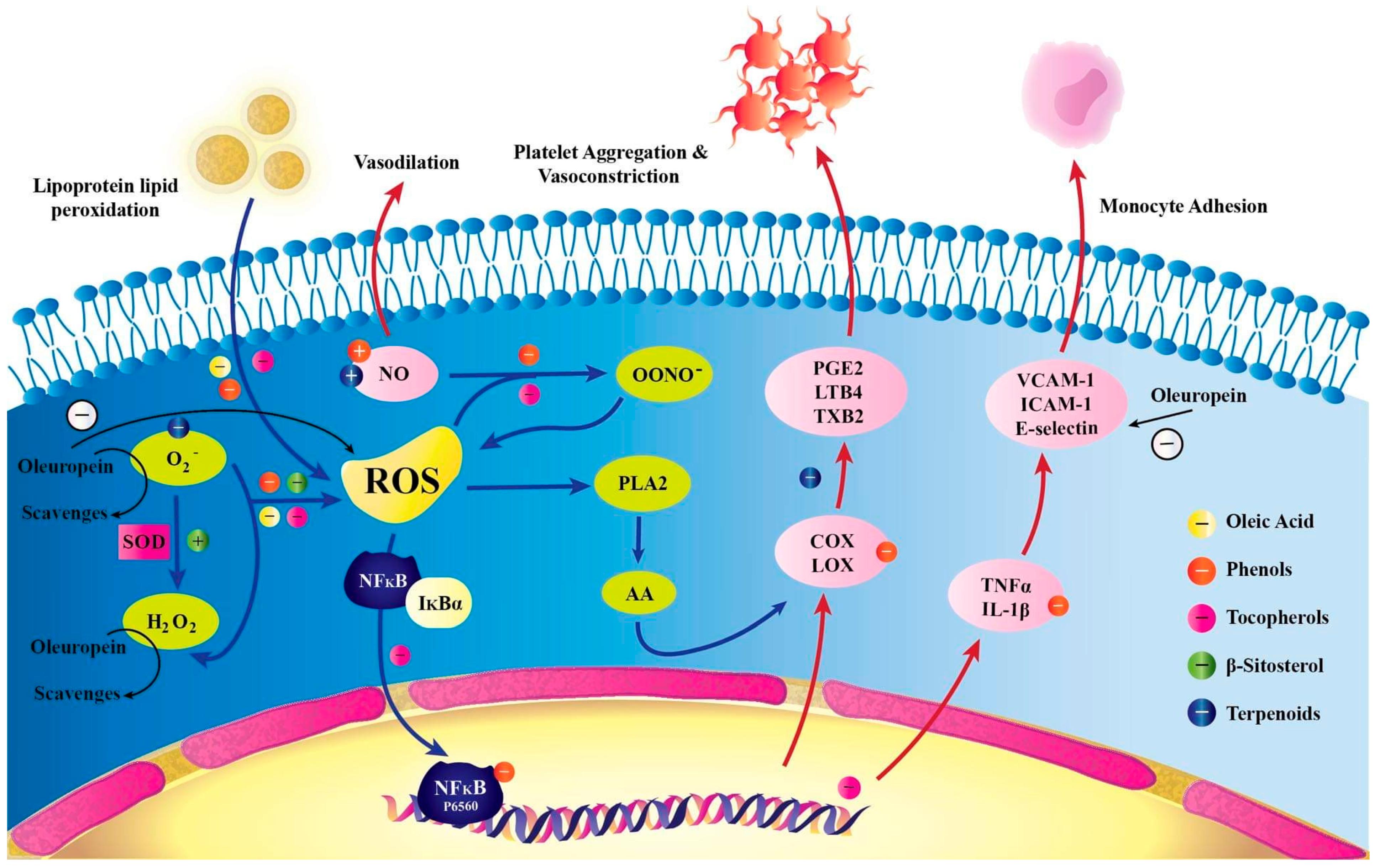 Life 12 01140 g003 Life 12 01140 g003