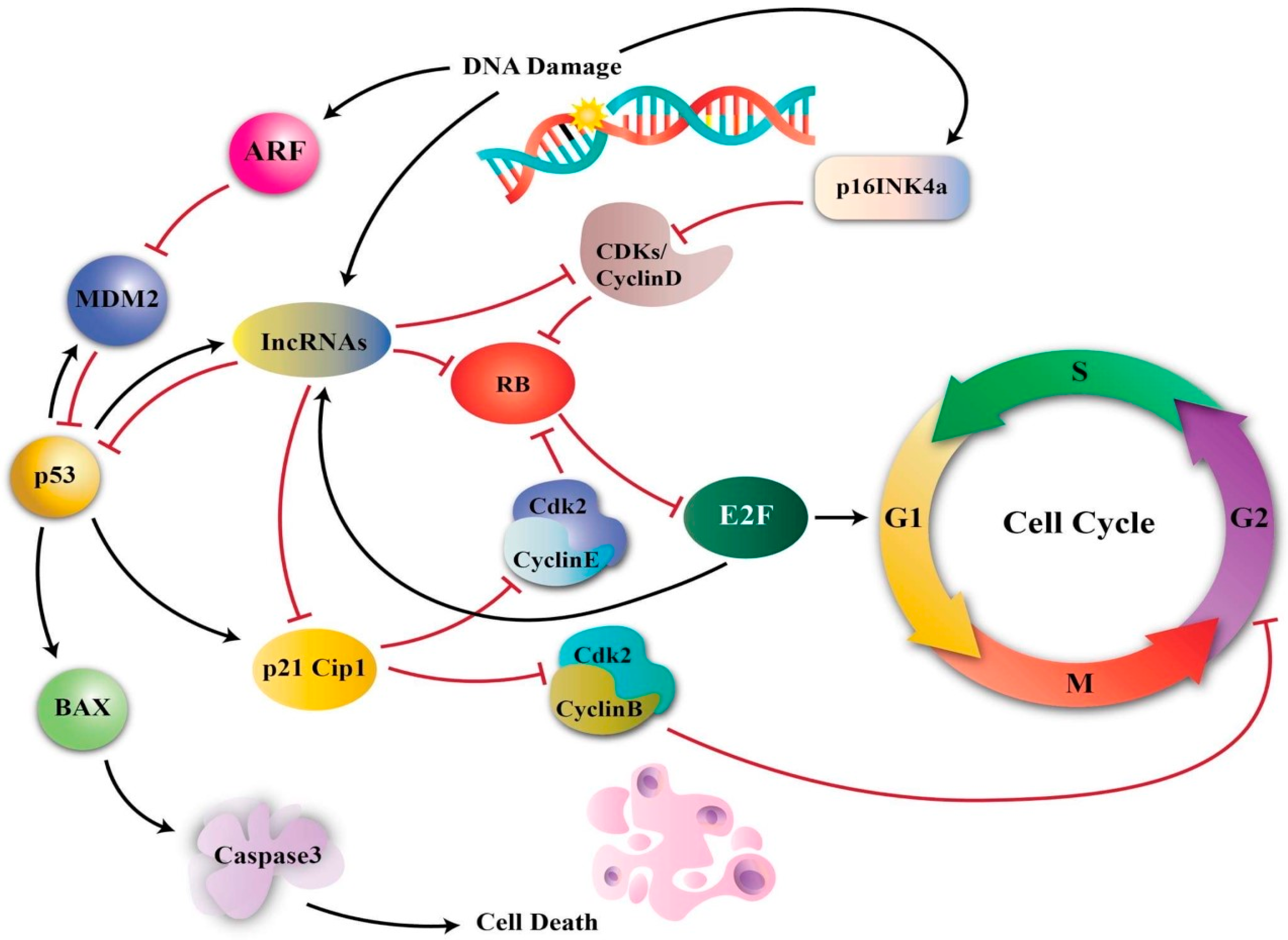 Life 12 01140 g004 Life 12 01140 g004