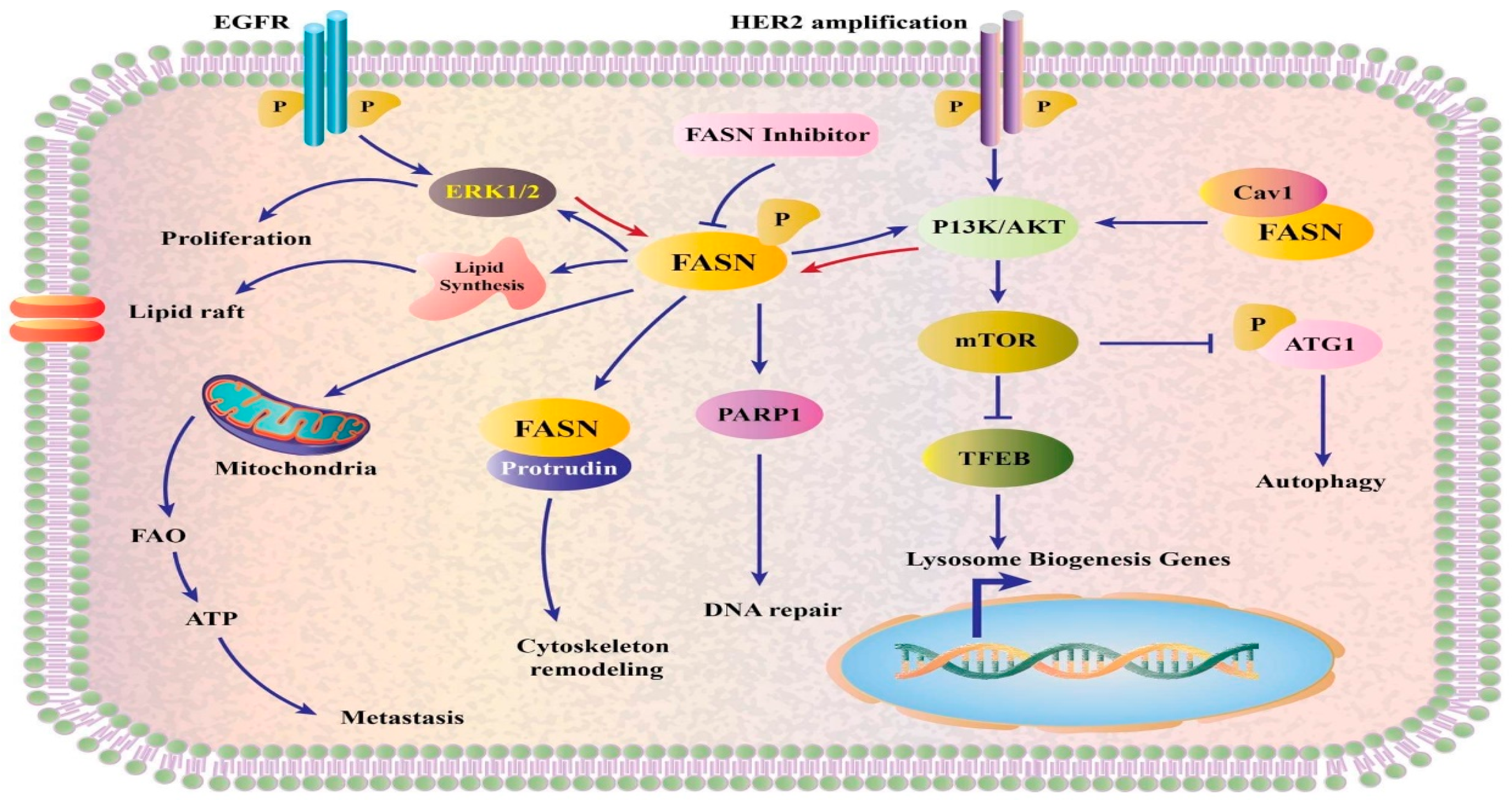 Life 12 01140 g005 Life 12 01140 g005