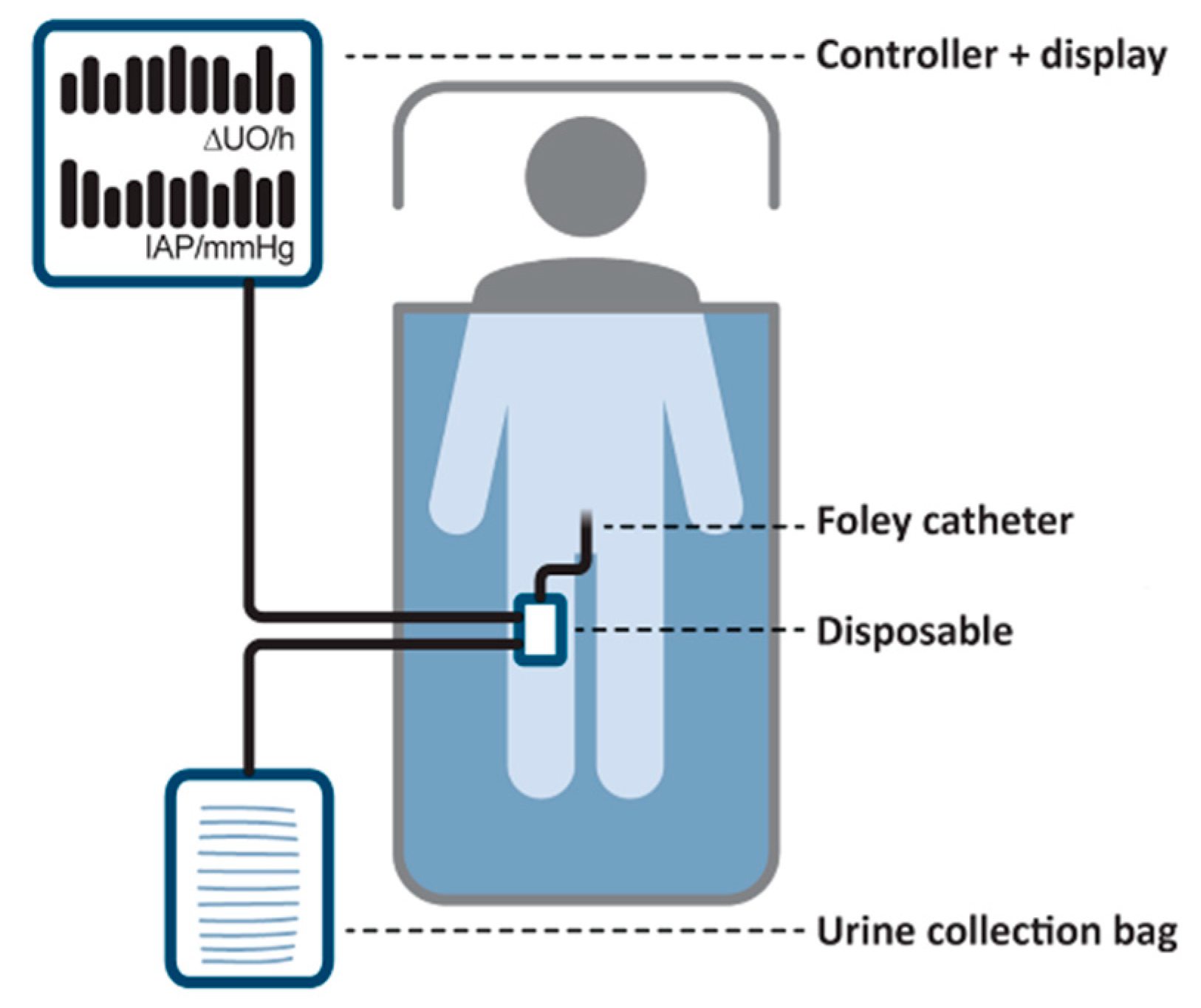 Life 12 01161 g001 Life 12 01161 g001