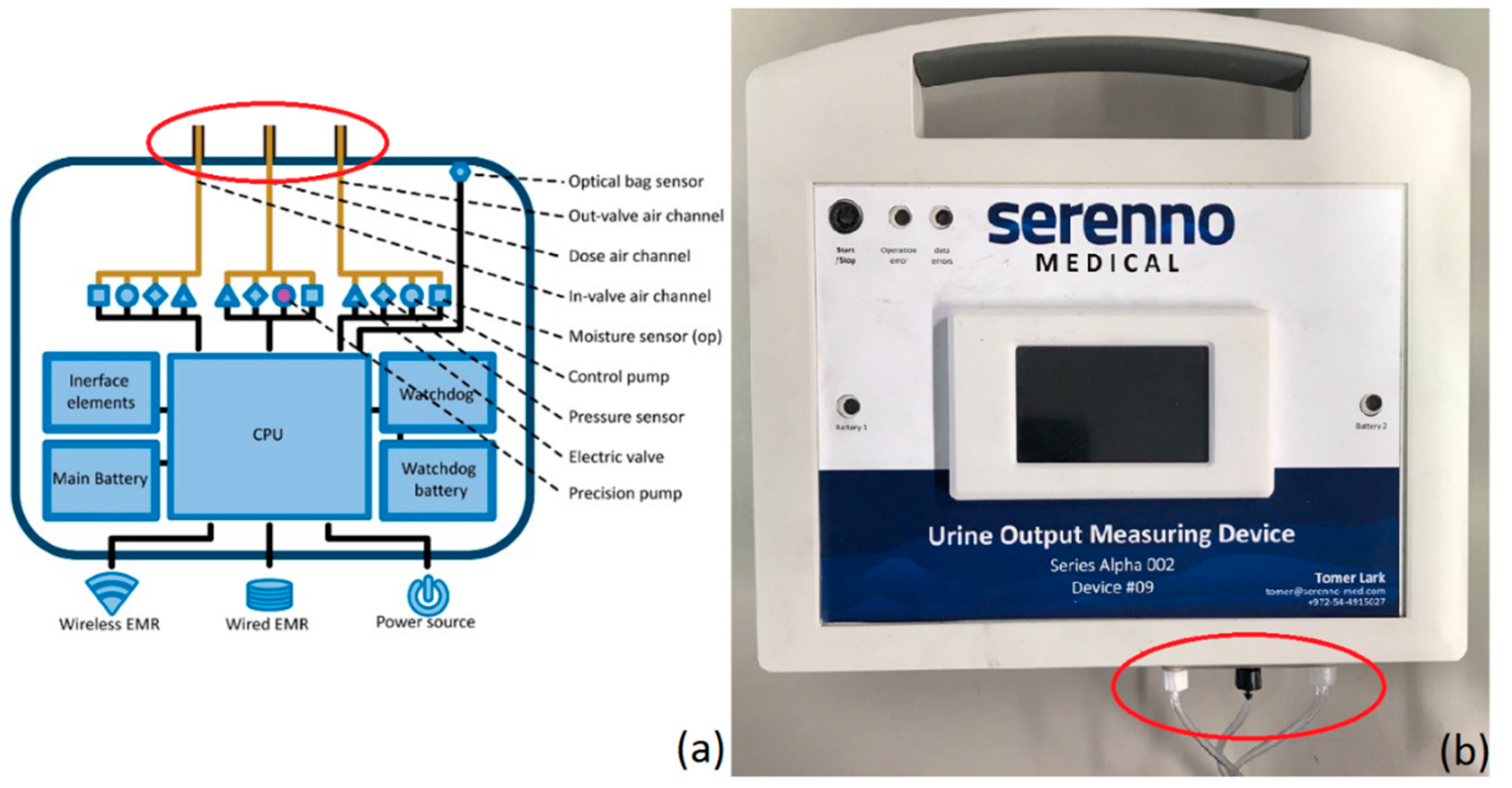 Life 12 01161 g003 Life 12 01161 g003