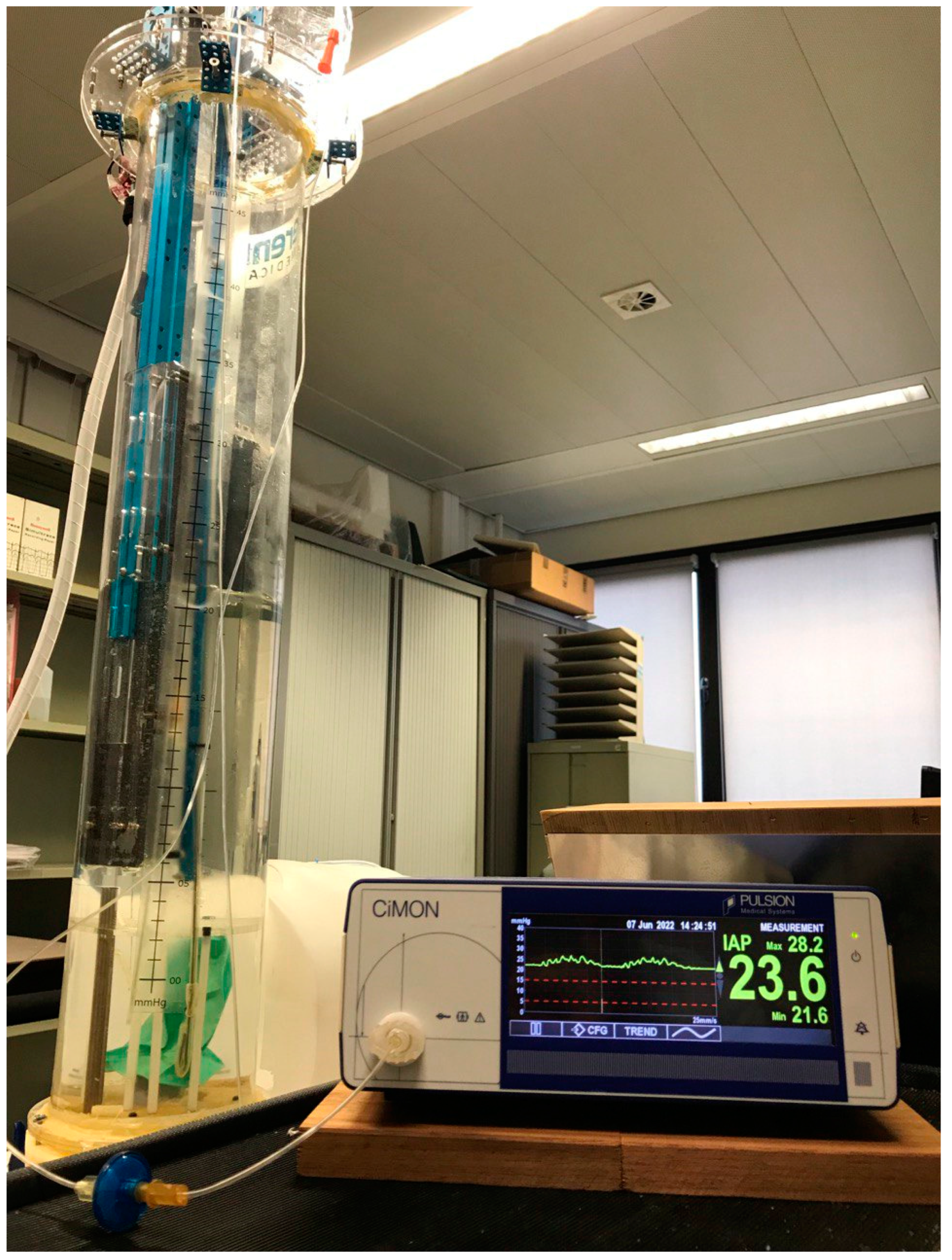 Life 12 01161 g005 Life 12 01161 g005