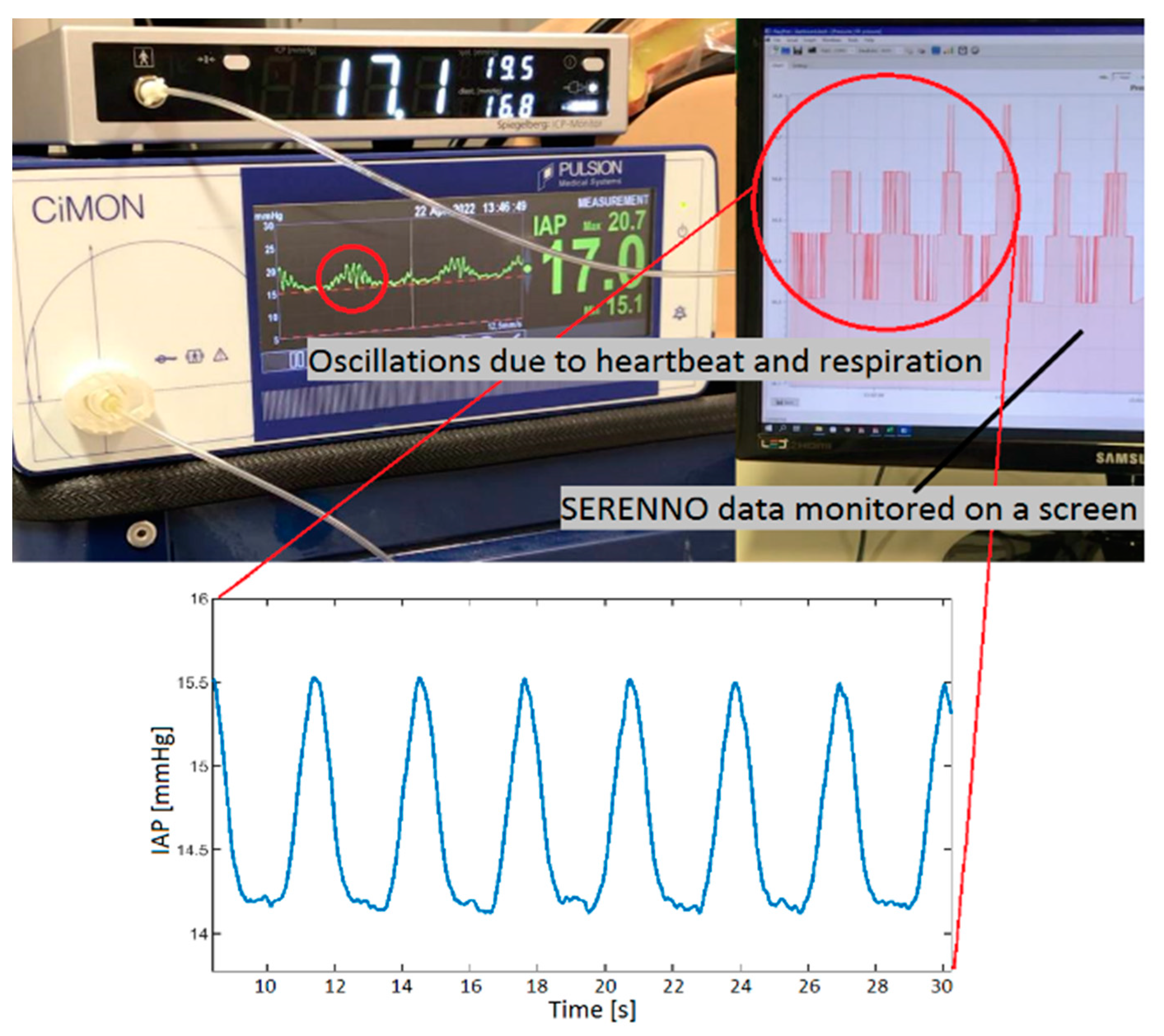 Life 12 01161 g009 Life 12 01161 g009