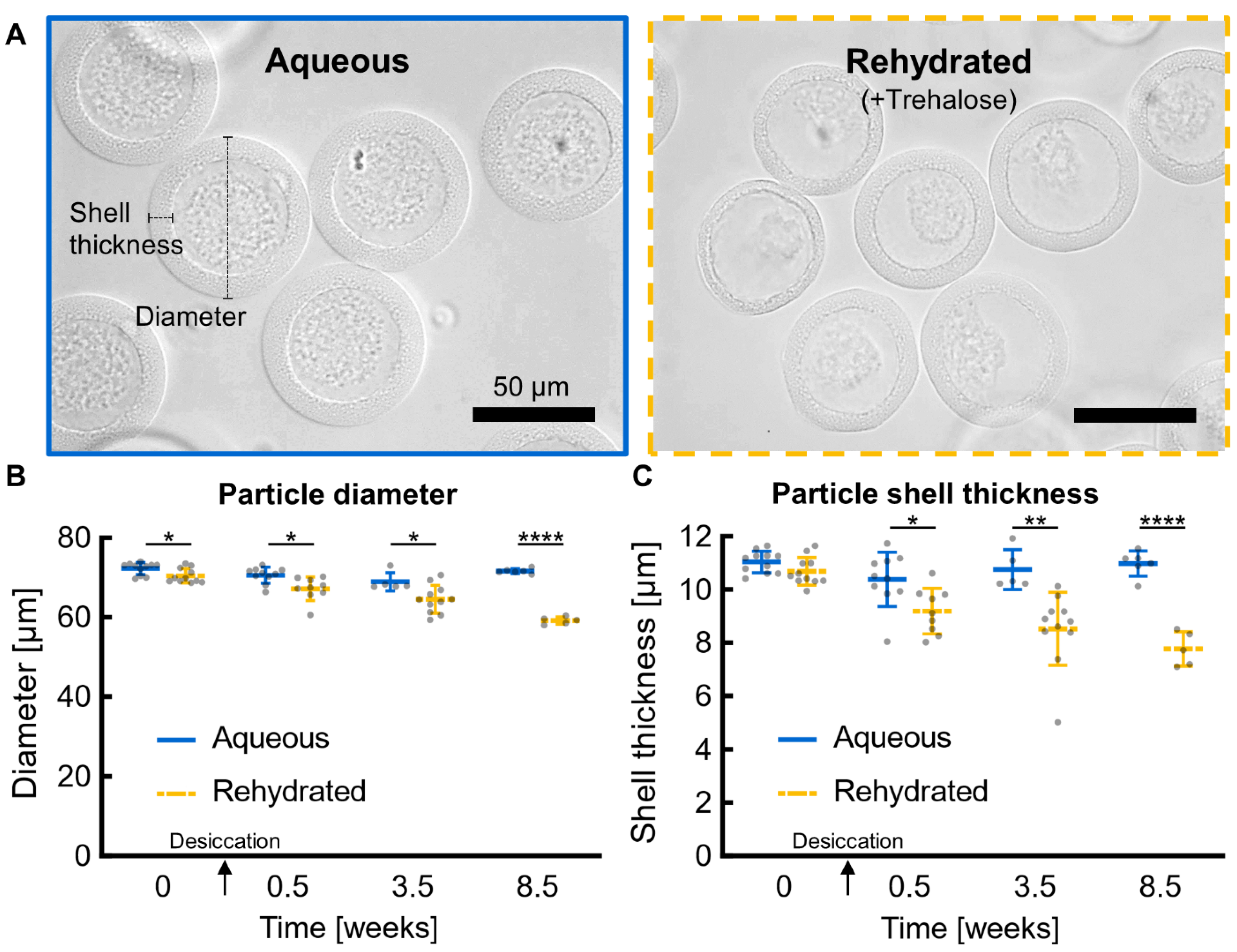 Life 12 01168 g002 550