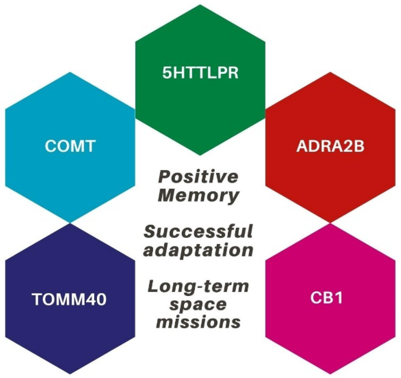 Life 12 01176 g002 Life 12 01176 g002