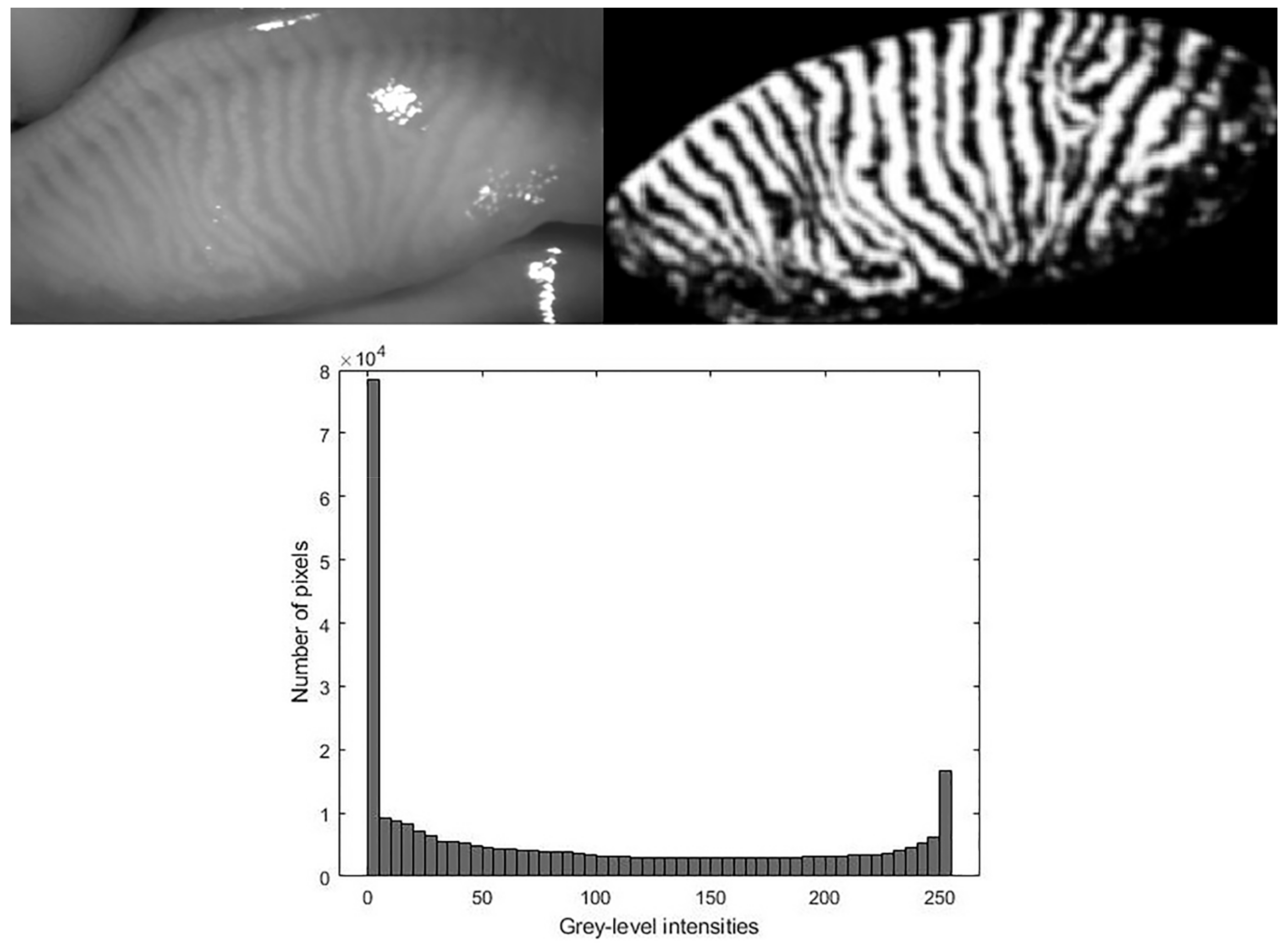 Life 12 01177 g001 550