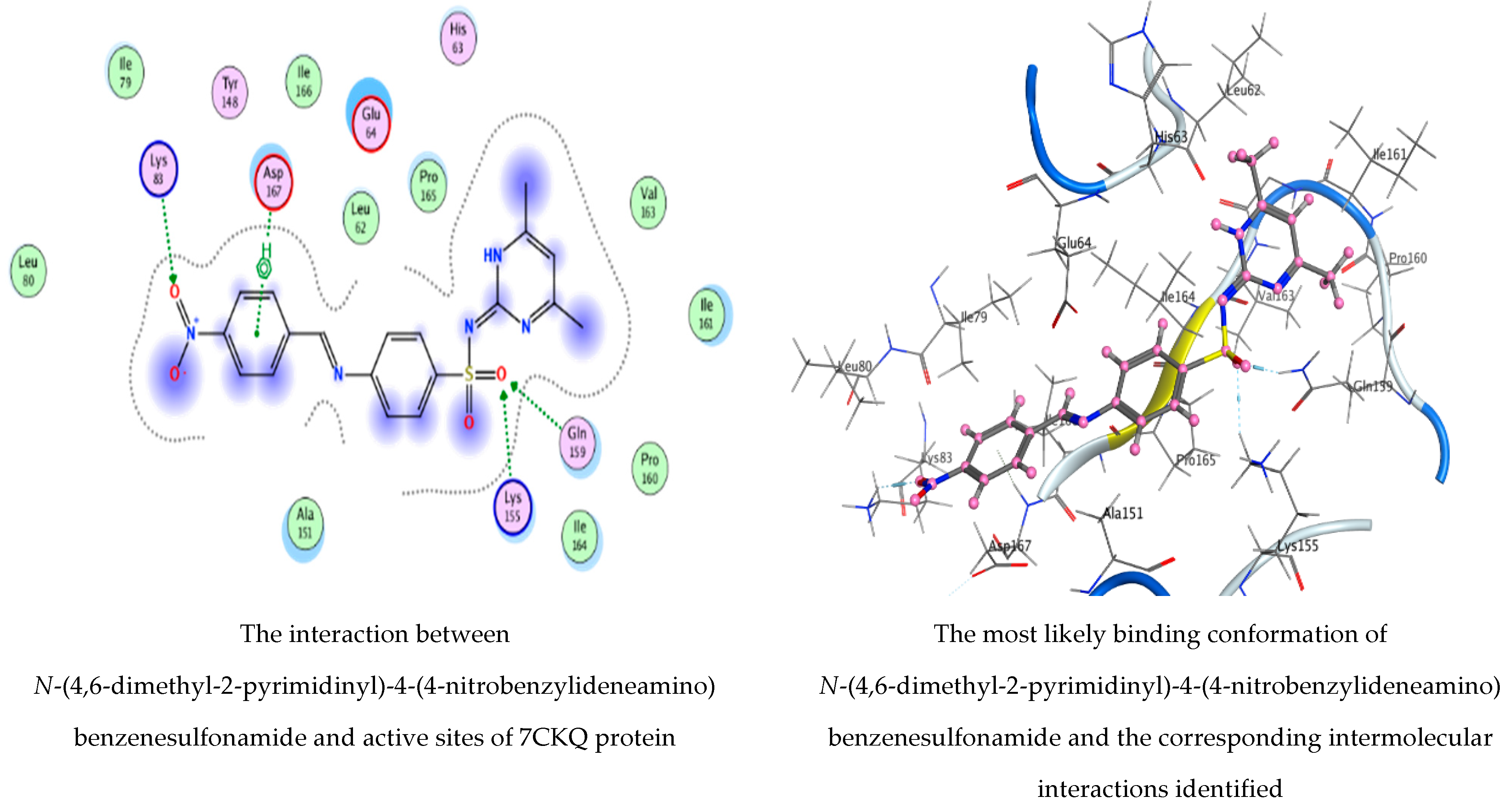 Life 12 01182 g011a Life 12 01182 g011a